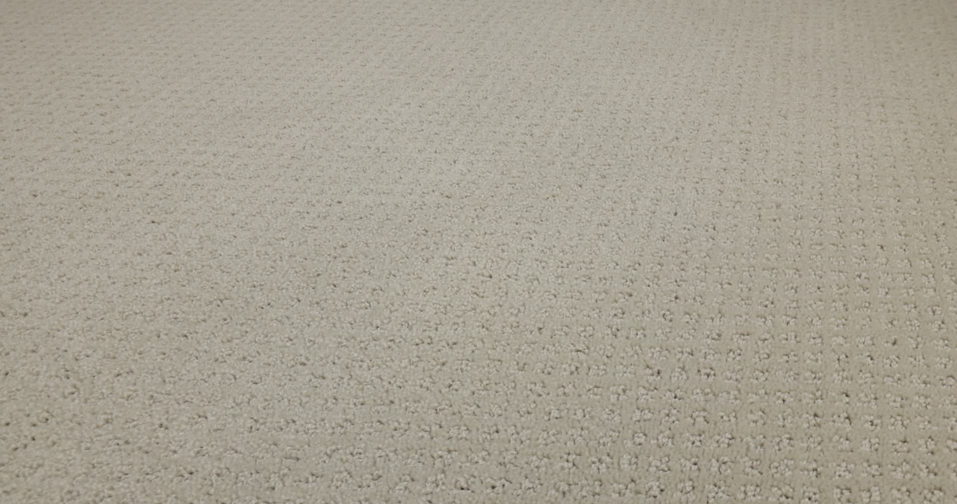 MAINSTAY BUTTER CREAM 360PROD