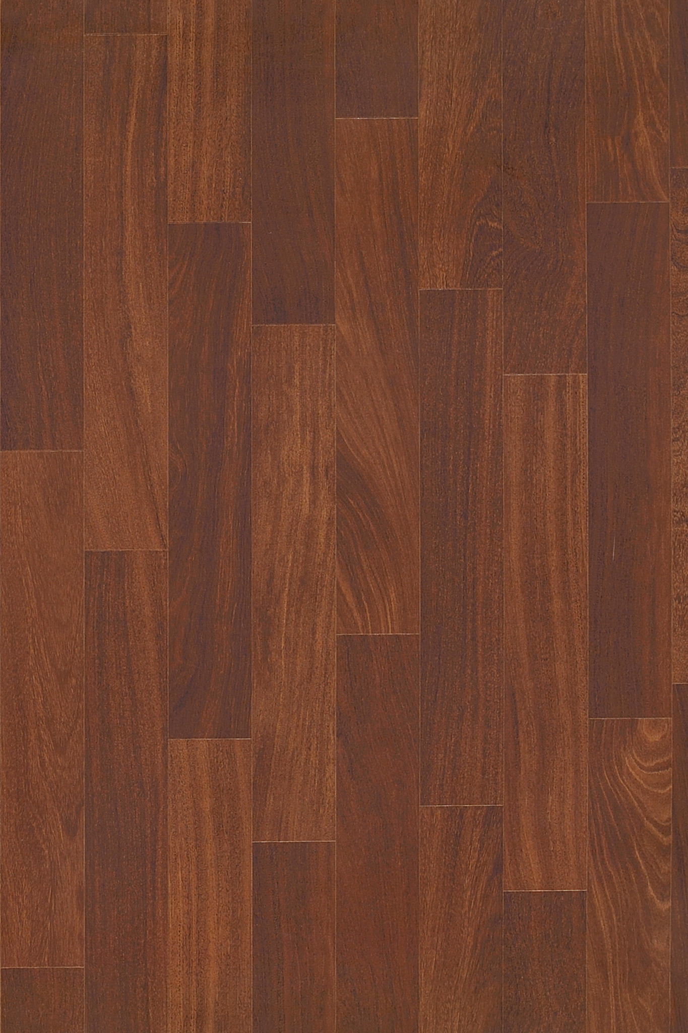 ORGANIC-STRUCTURE-5471V-HARVEST-09446-main-image