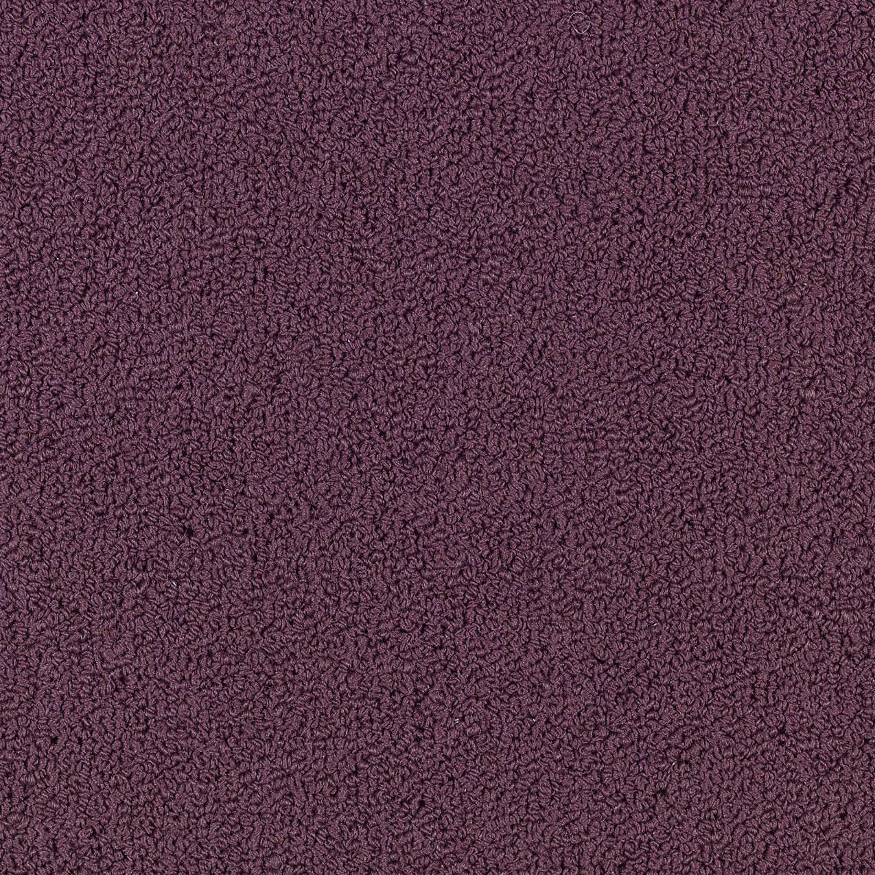 COLOR-ACCENTS-BL-54584-PURPLE-HEART-62979-main-image