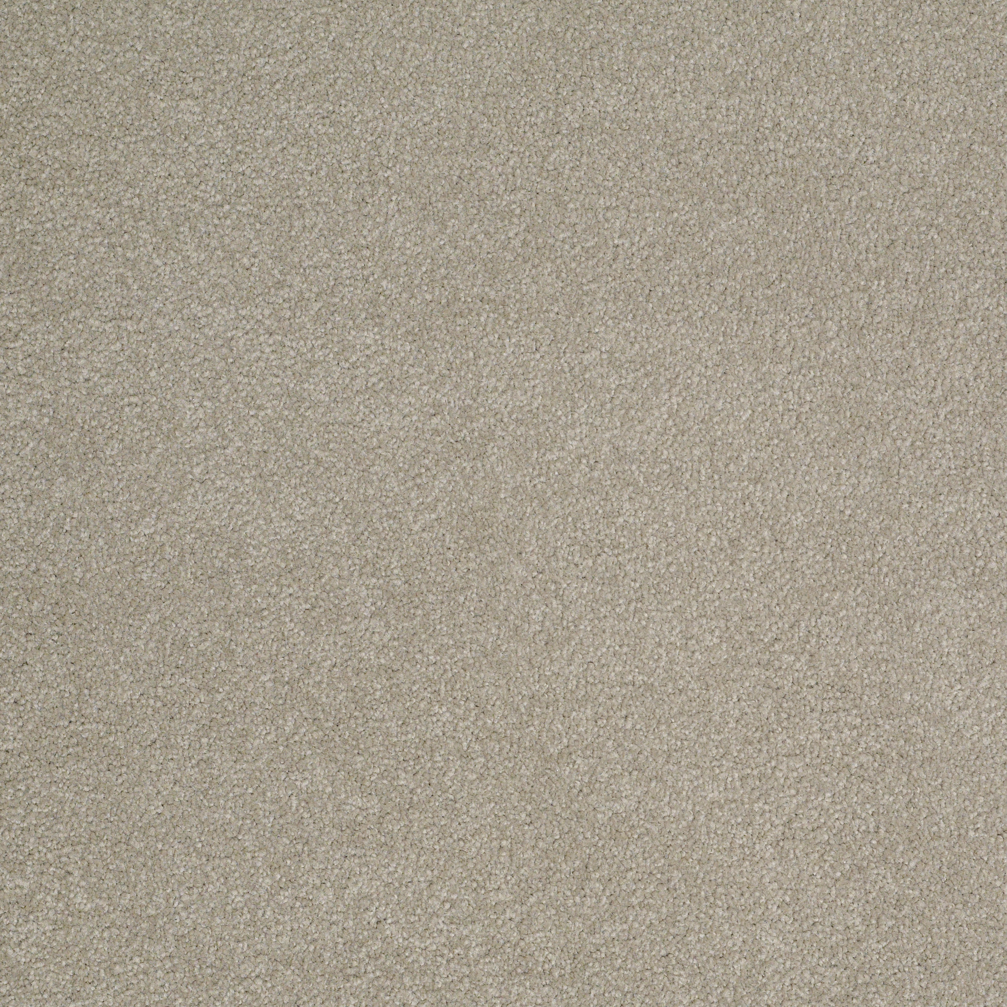 SOPHISTICATION 12' LONDON FOG MAIN