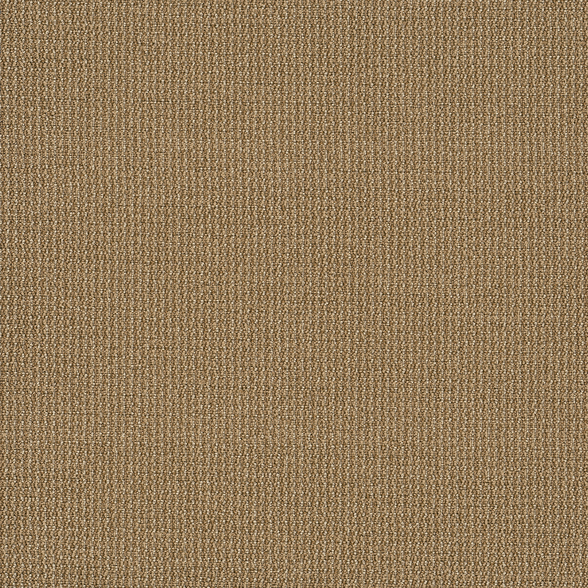 DATELINE-TODAY-54823-SPOTLIGHTS-00730-main-image