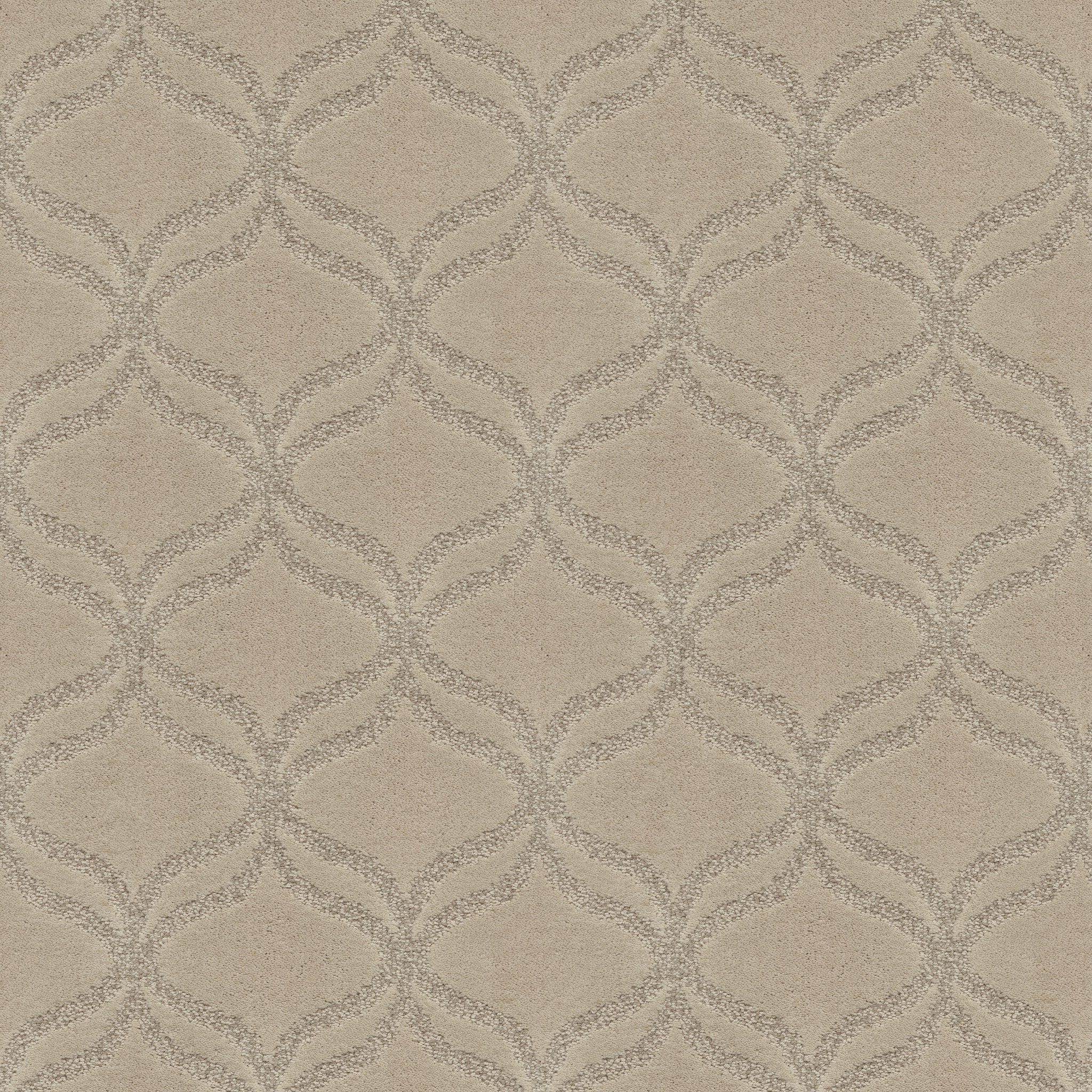 APPRECIATION YORKSHIRE MAIN