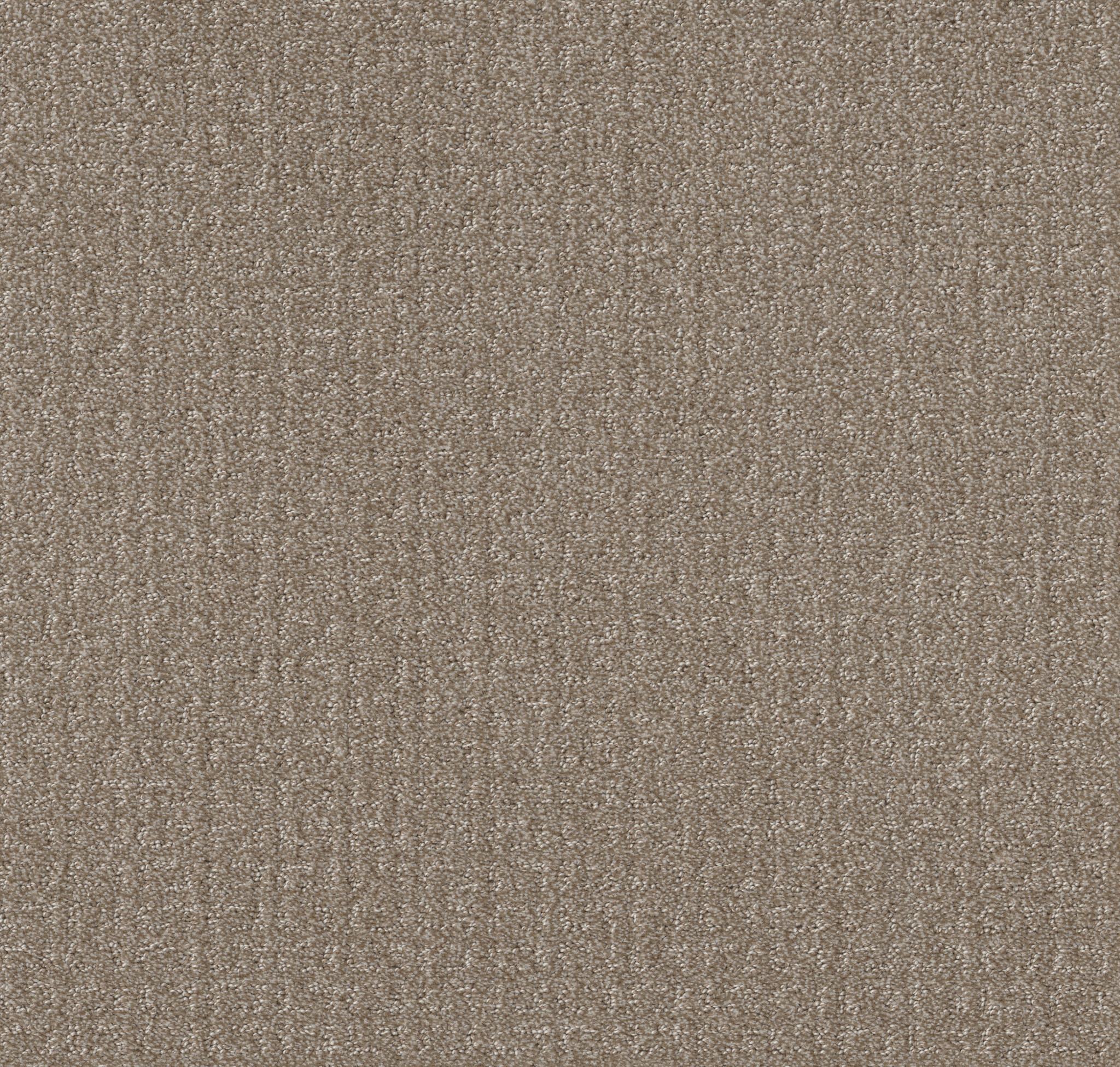 TRANSFORM SIMPLY TAN MAIN