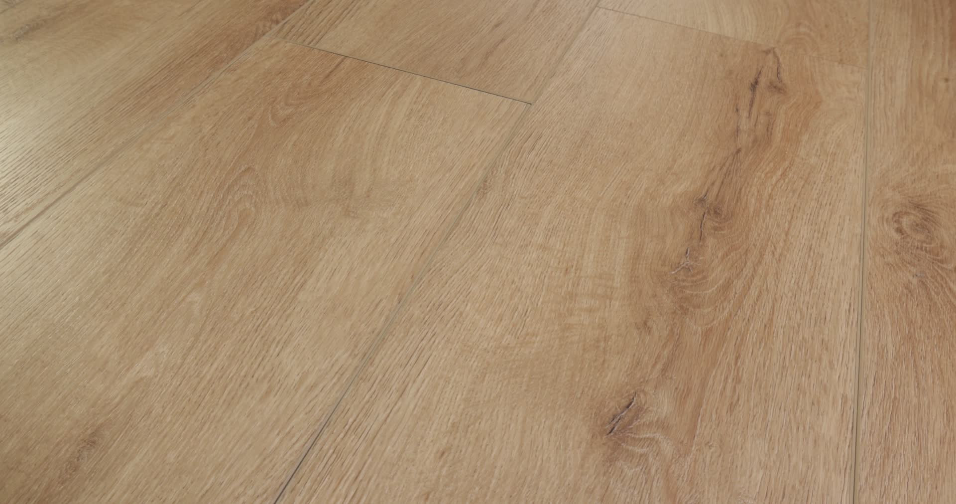 HOMEWARD SANDY BROWN 360PROD