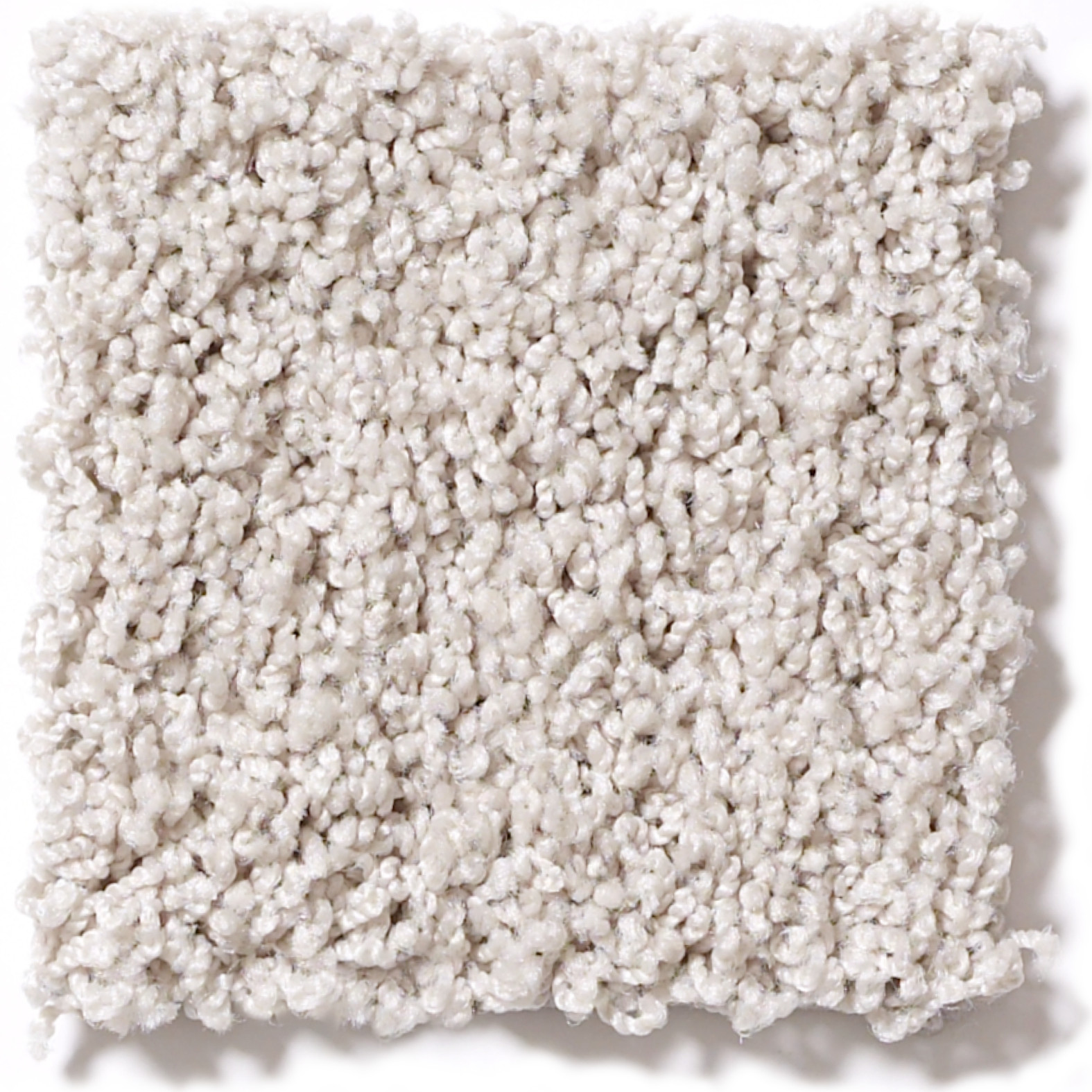 WEATHERFORD CARRERA SWATCH