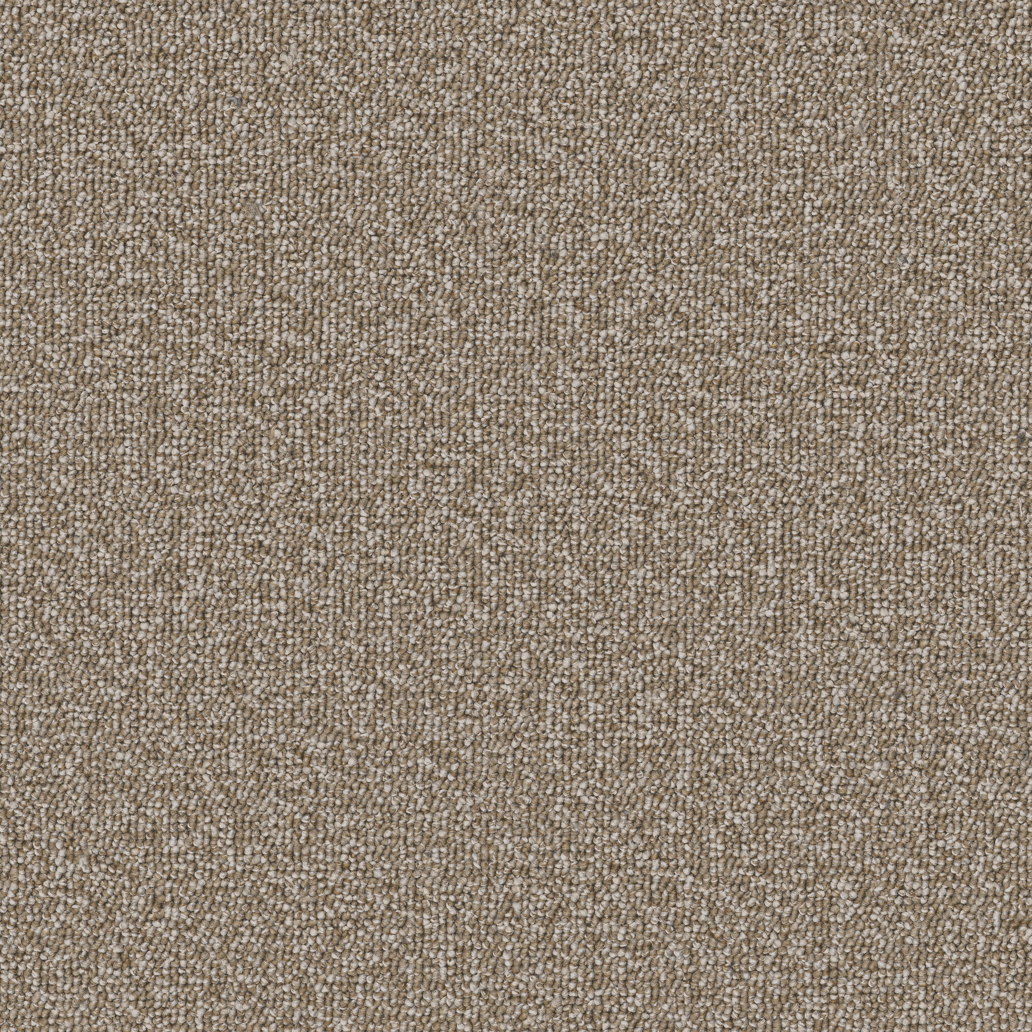 AVENUE-54989-SHERWOOD-00204-main-image