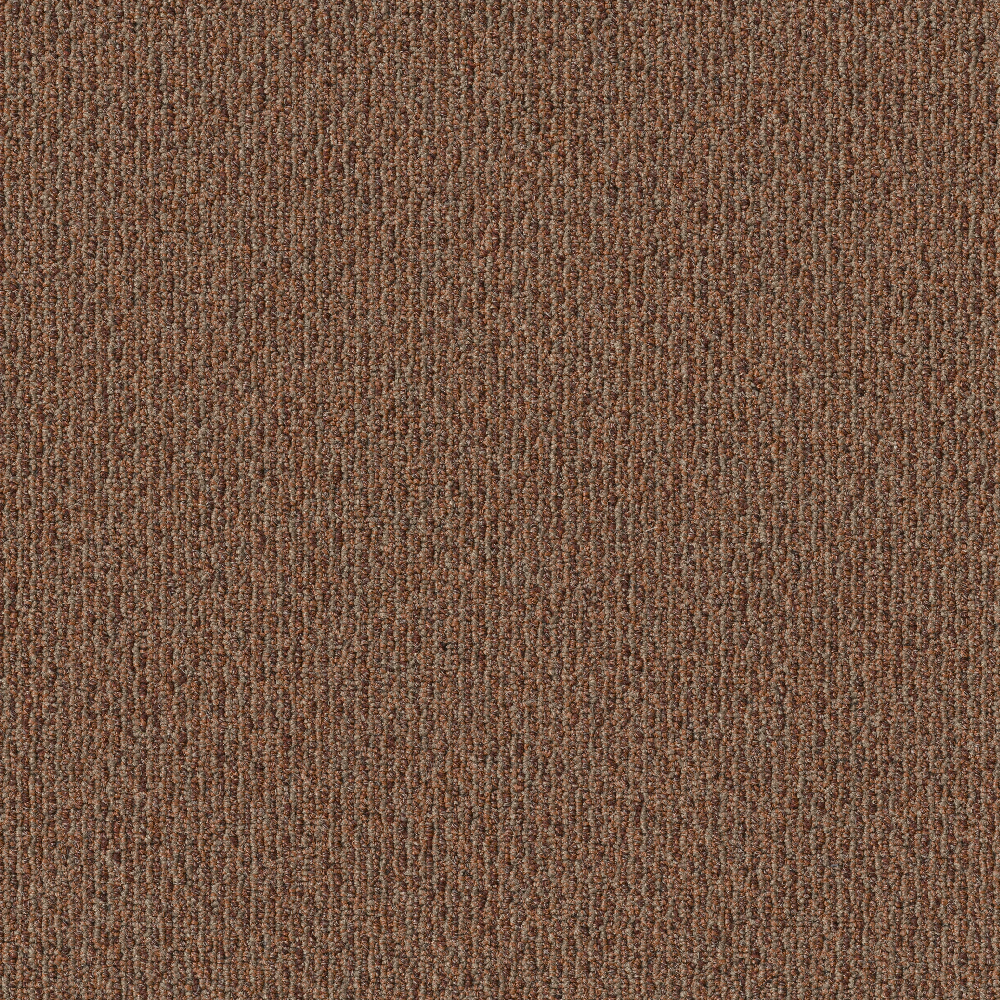 NATURAL-PATH-54636-SUNDOWN-00600-main-image