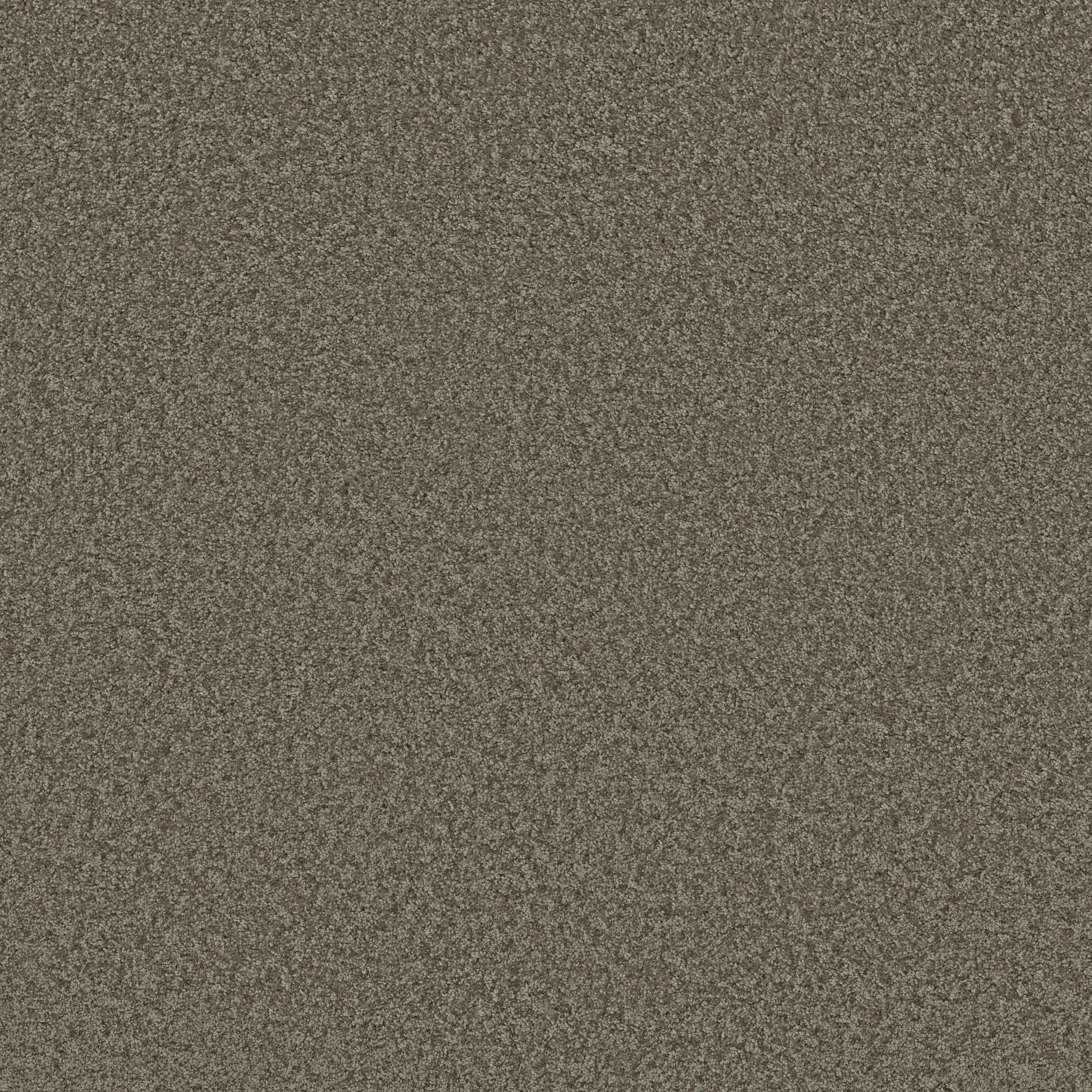 PARLAY DOCKSIDE MAIN