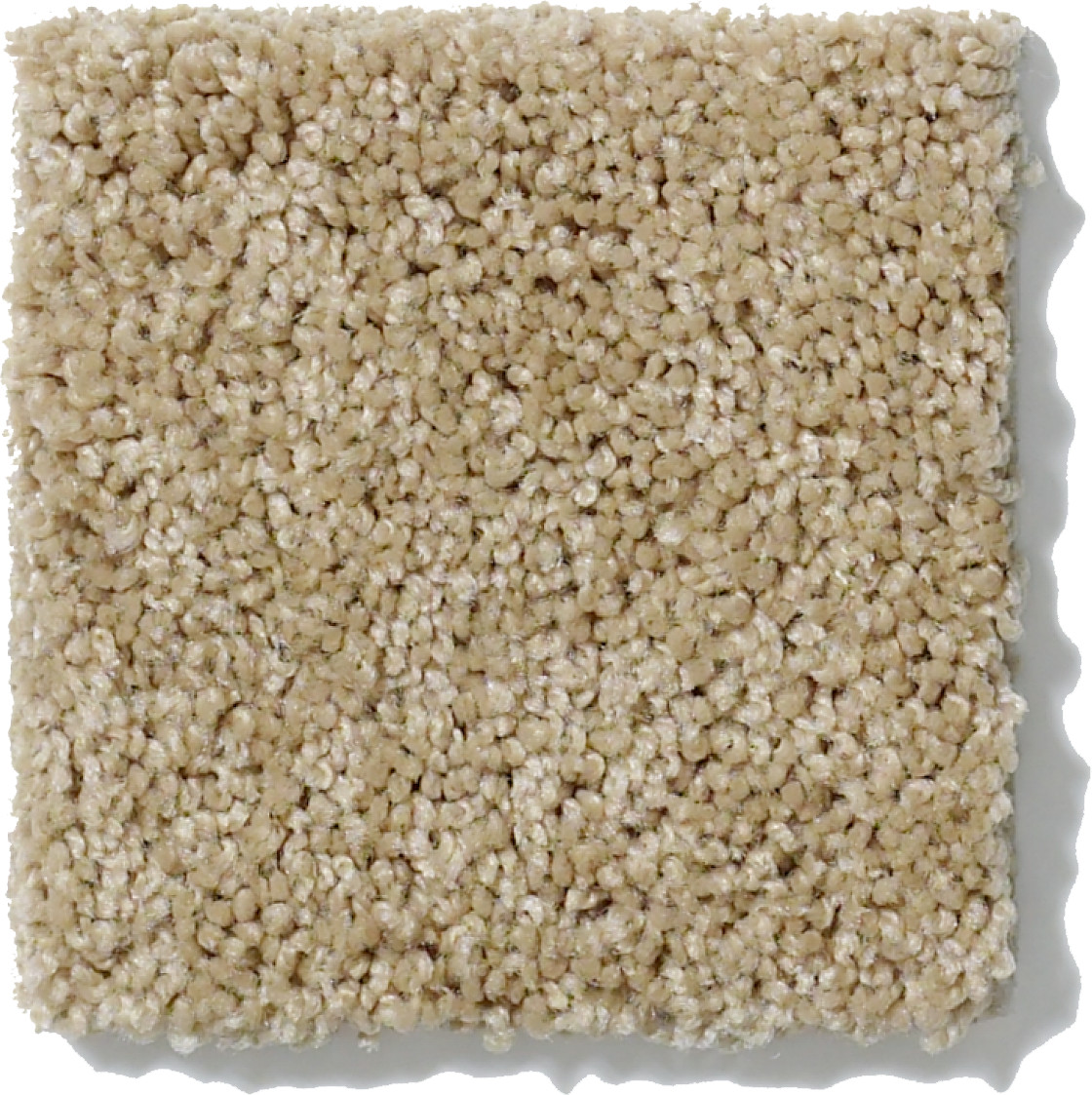 SOURCE WOOL SKEIN SWATCH