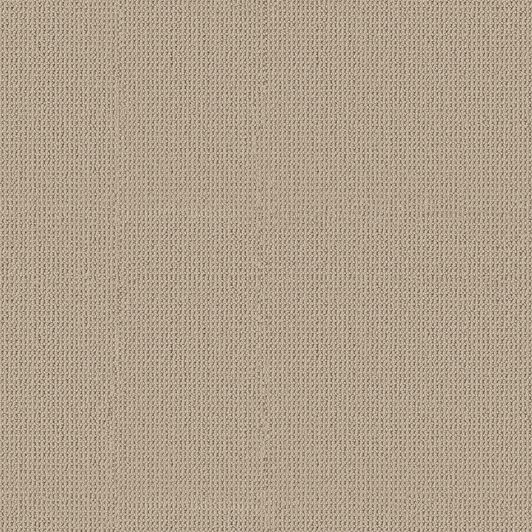 Arden Park - 100% ANSO® High Performance Nylon in Drift