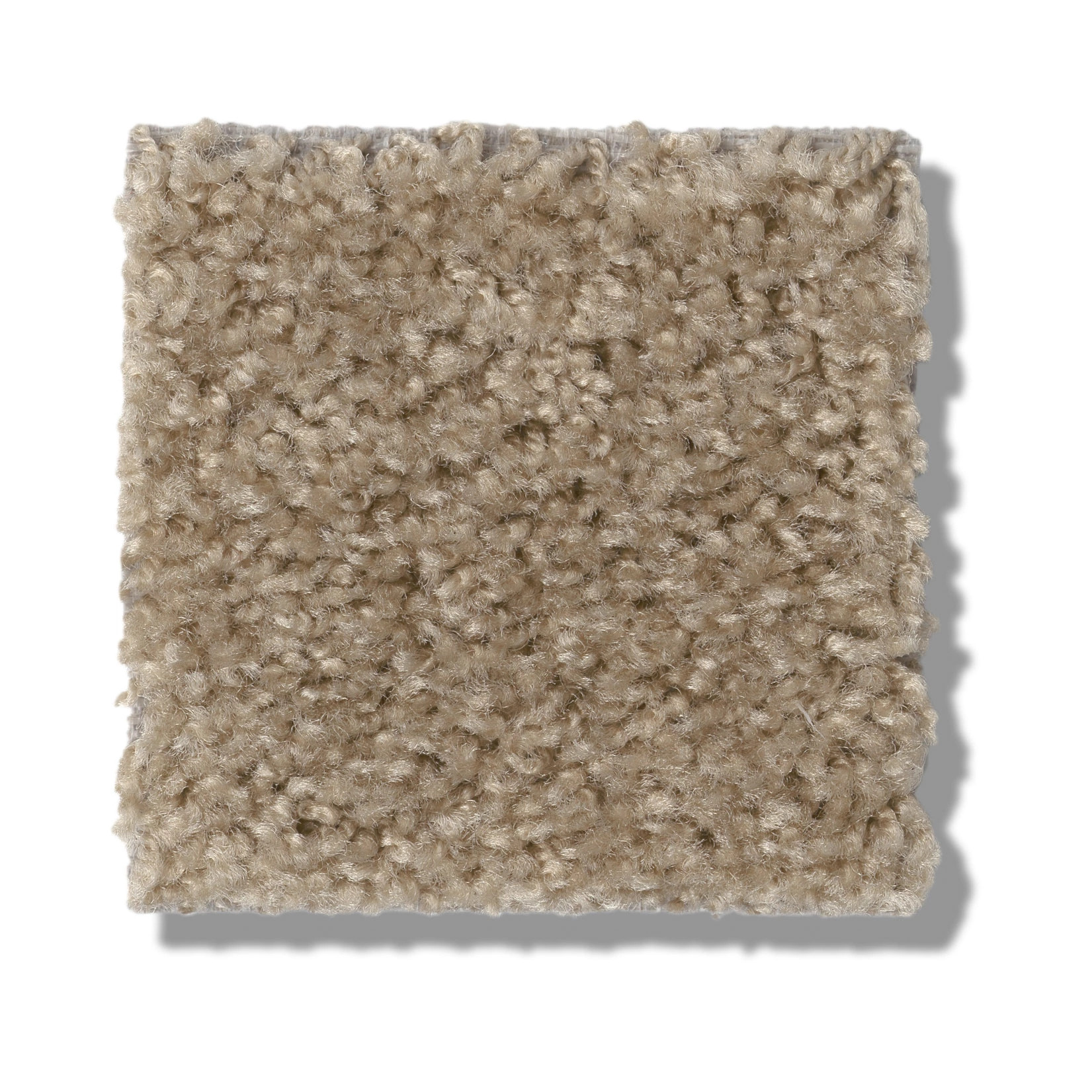 MAX APPEAL THORNWOOD SWATCH