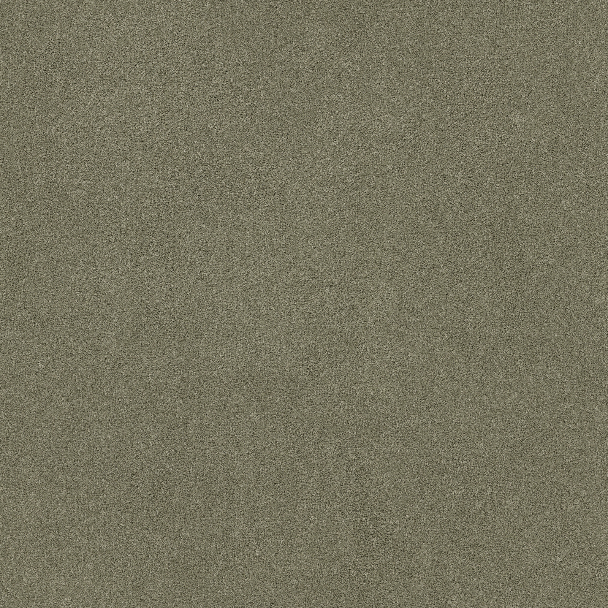 SOURCE SILVER SAGE MAIN