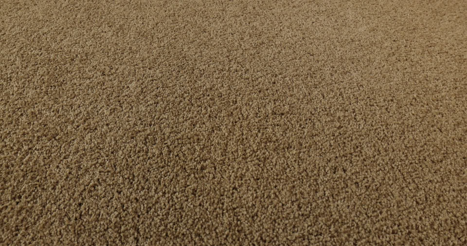 INSPIRED BY I HONEY POT 360PROD