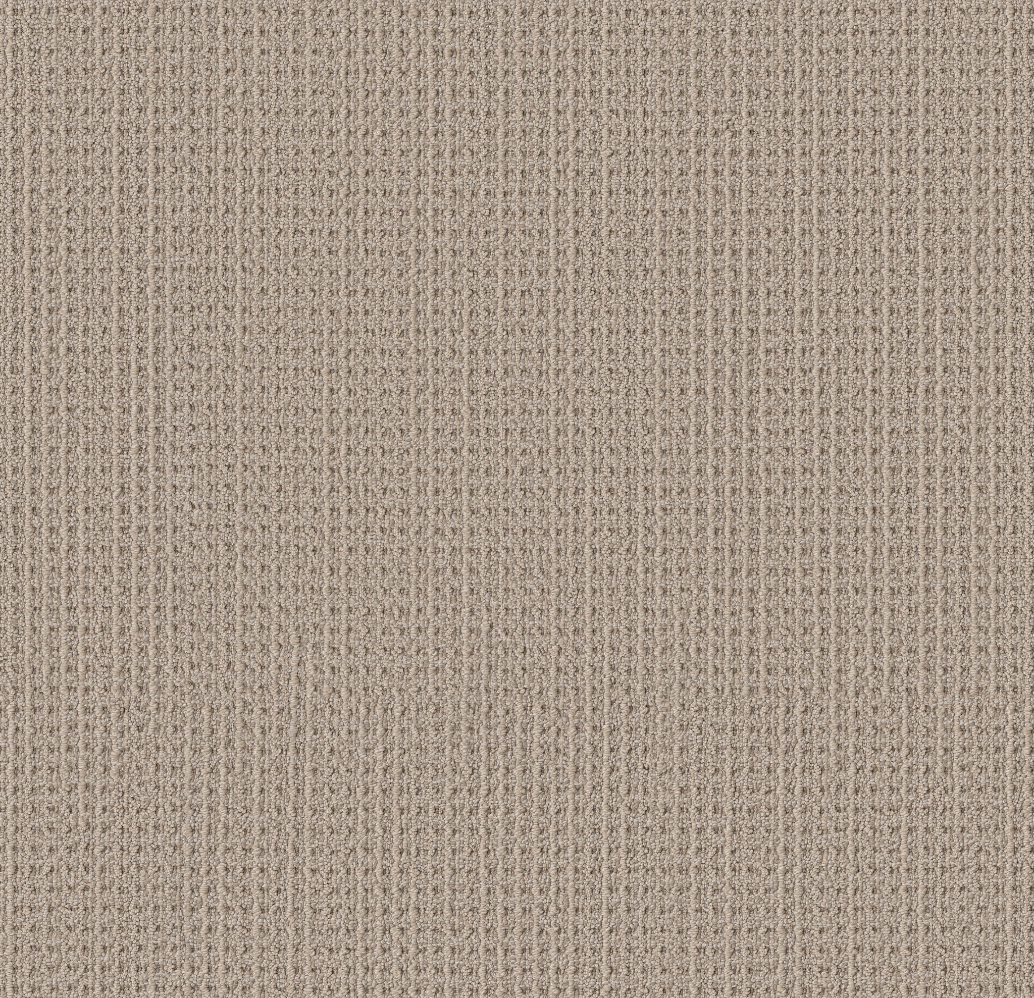 FINELY DETAILED BASKETRY MAIN