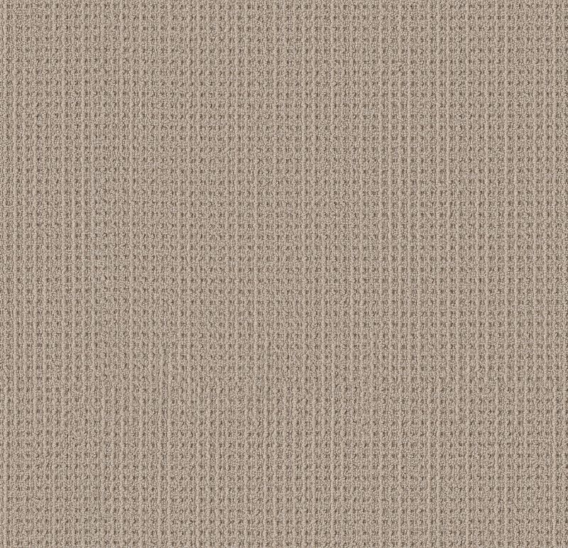 Finely Detailed 5E842