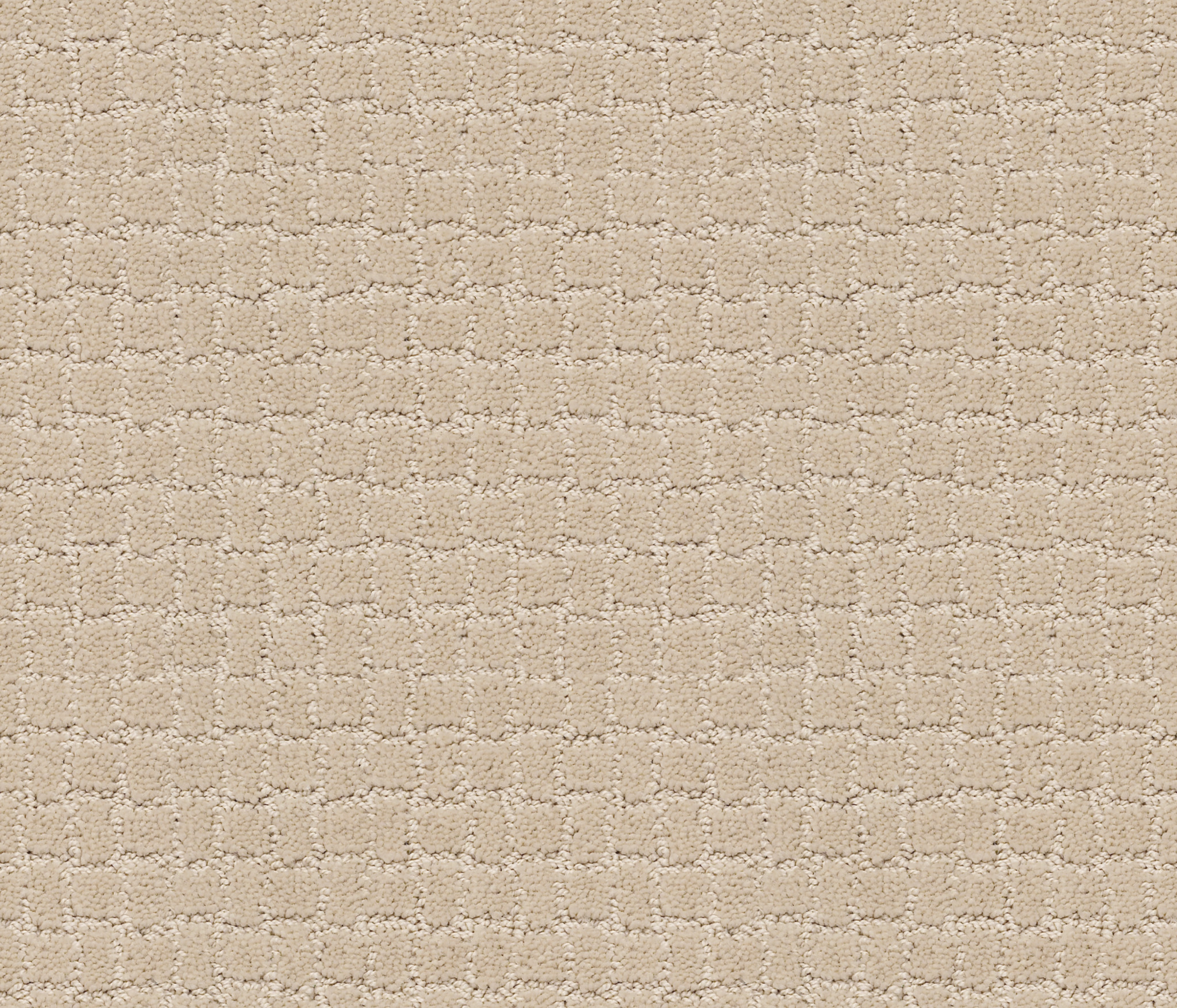 PAWSTRUCK TOFFEE CREAM MAIN