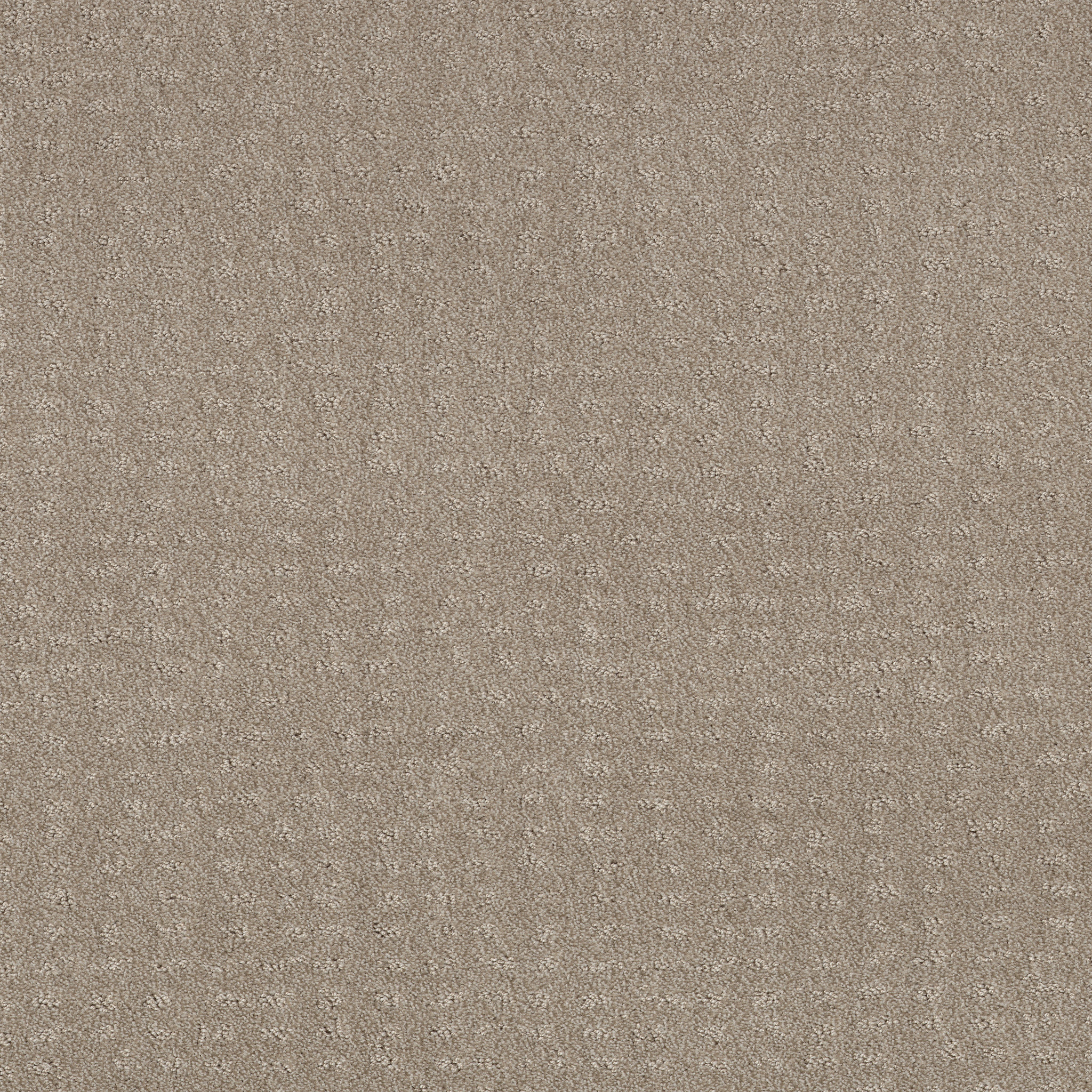 CHIC NUANCE FOSSIL PATH MAIN