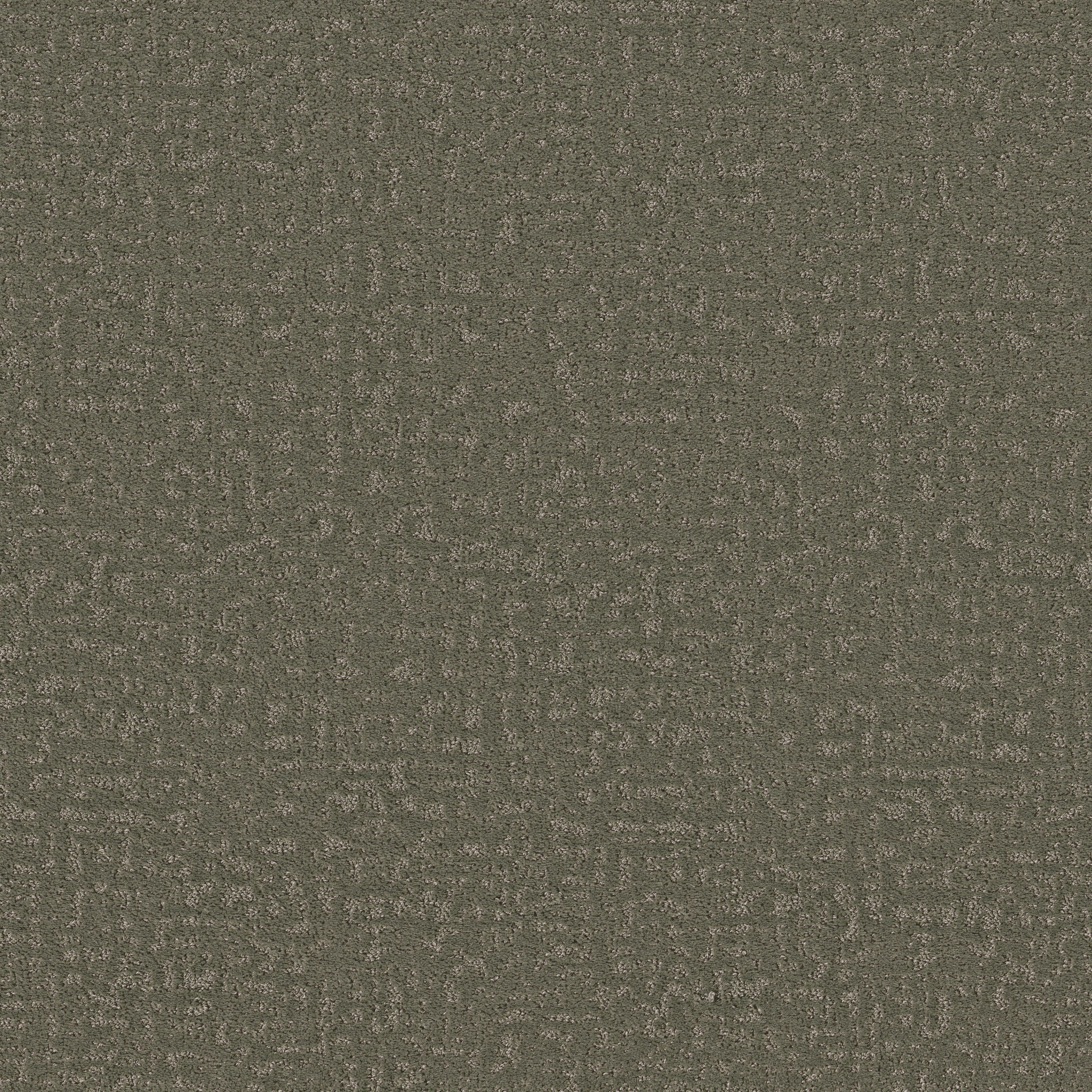 HOME WITHIN REROOTED NATURE MAIN