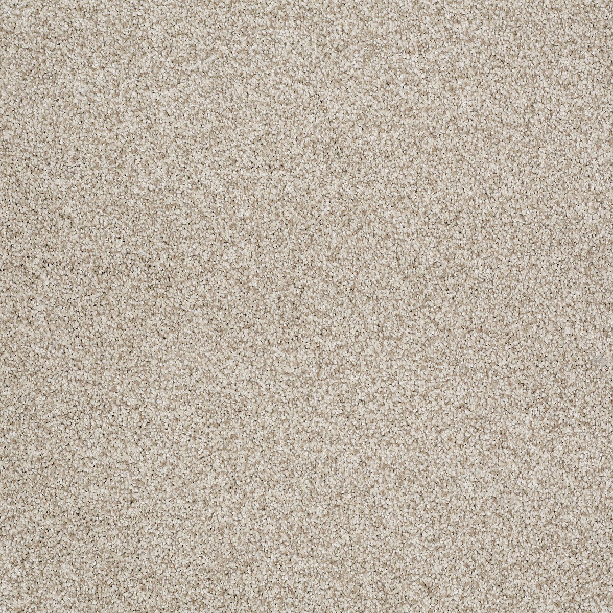 Shaw Floors GOLD TEXTURE TONAL — ANCHORAGE