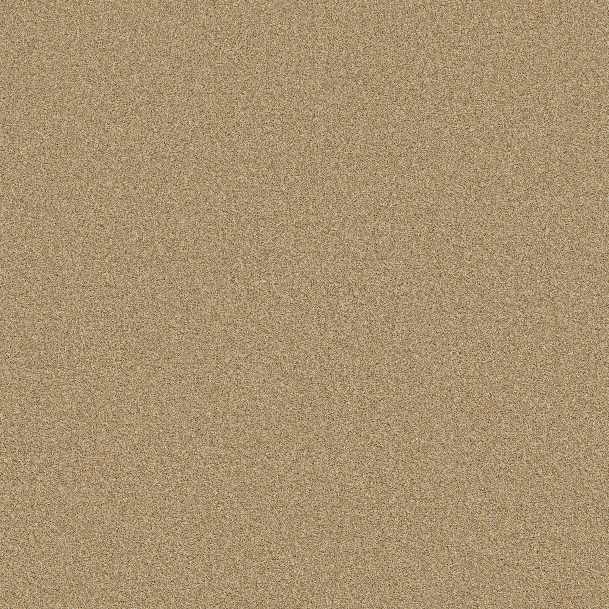 TONAL COMFORT I HELLO SUNSHINE MAIN