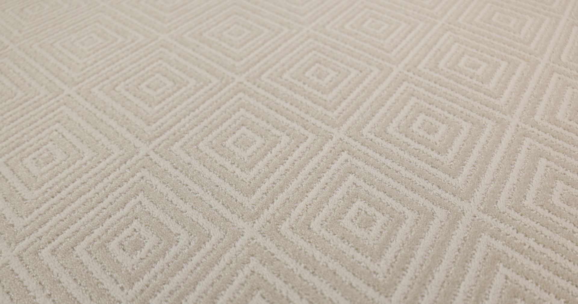 ARISTOCRAT DAYLILY 360PROD