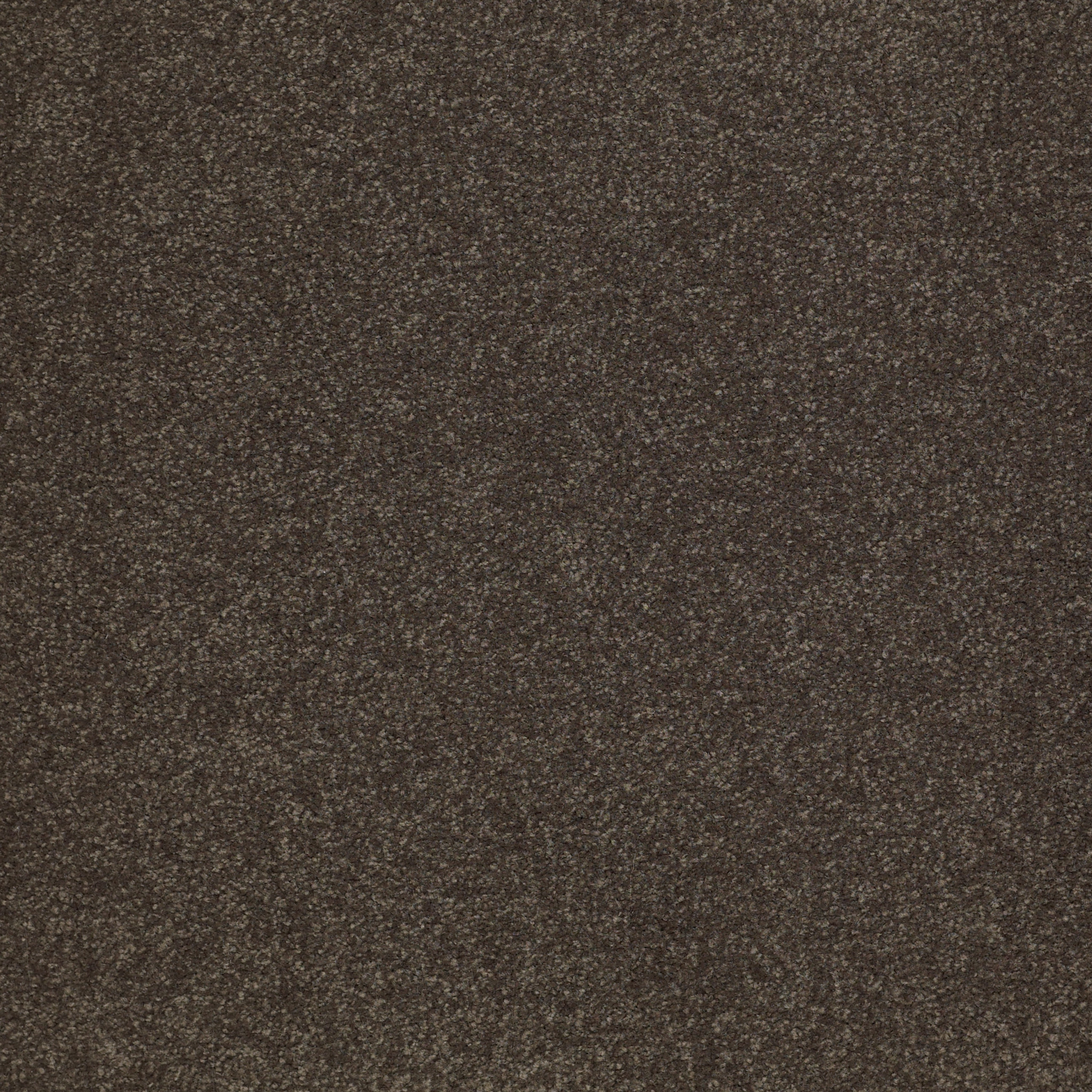 SANDY HOLLOW CLASSIC III 12' ARROWHEAD MAIN