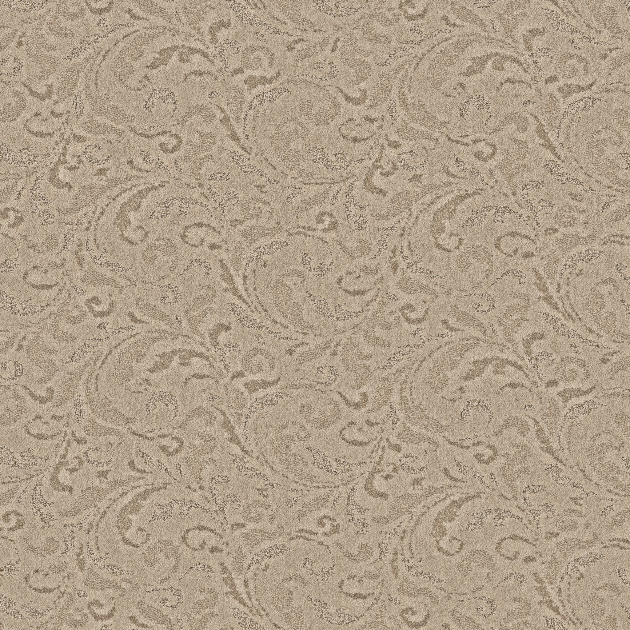 Plantationベージュ ナイロンジャンパー プランテーション　zucca Gracious - 100% ANSO® High Performance Nylon in Ivory Paper