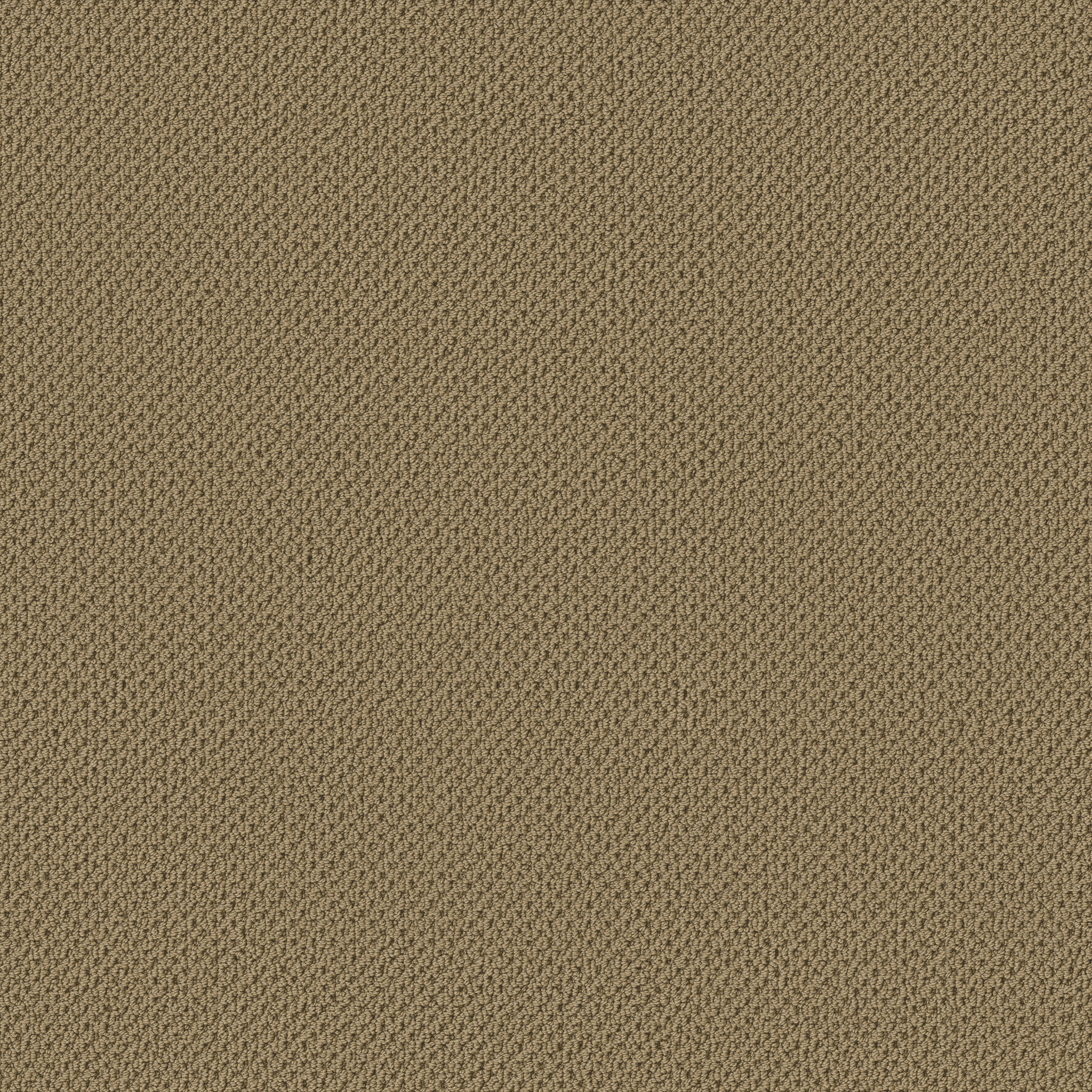 GRACIOUS WARMTH MAIN