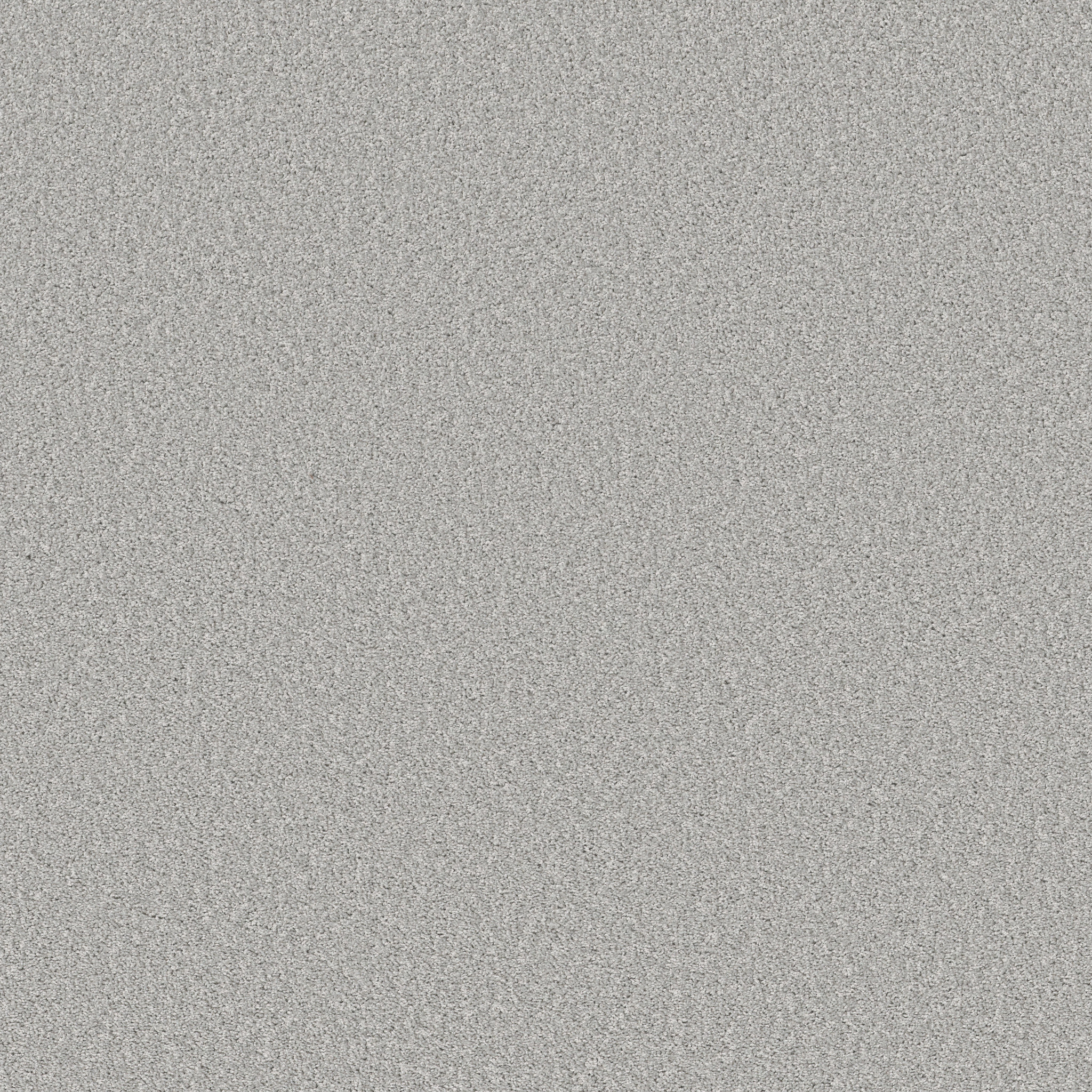 Search Results | Shaw Floors