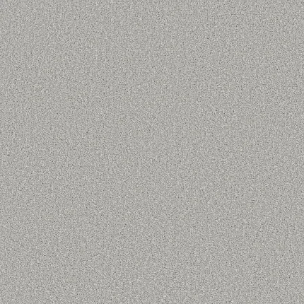 Durable light gray carpet for a cozy home atmosphere Light gray textured carpet swatch for everyday comfort and easy maintenance
