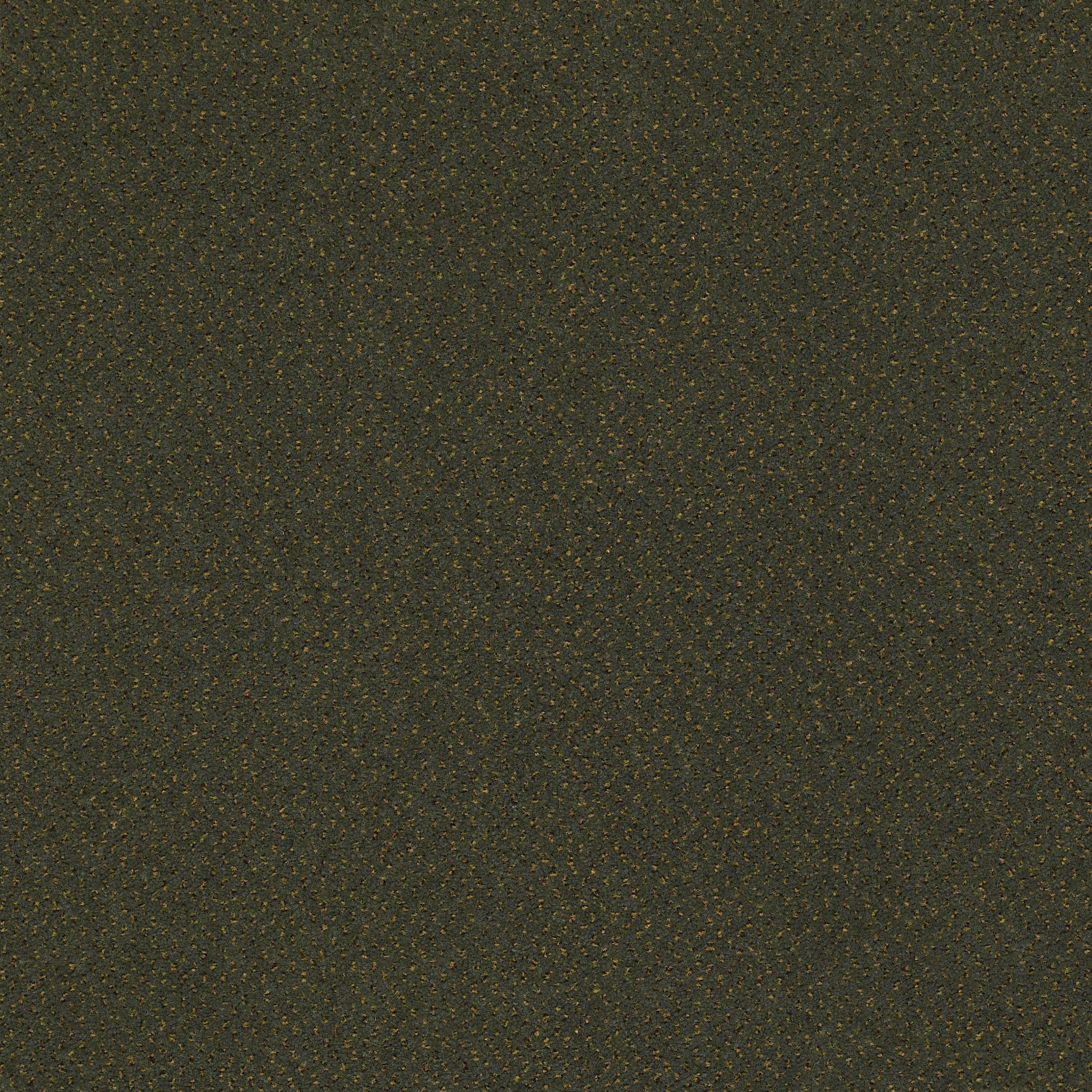 FUTURE-GENERATIONS-54644-CREATORS-44308-main-image