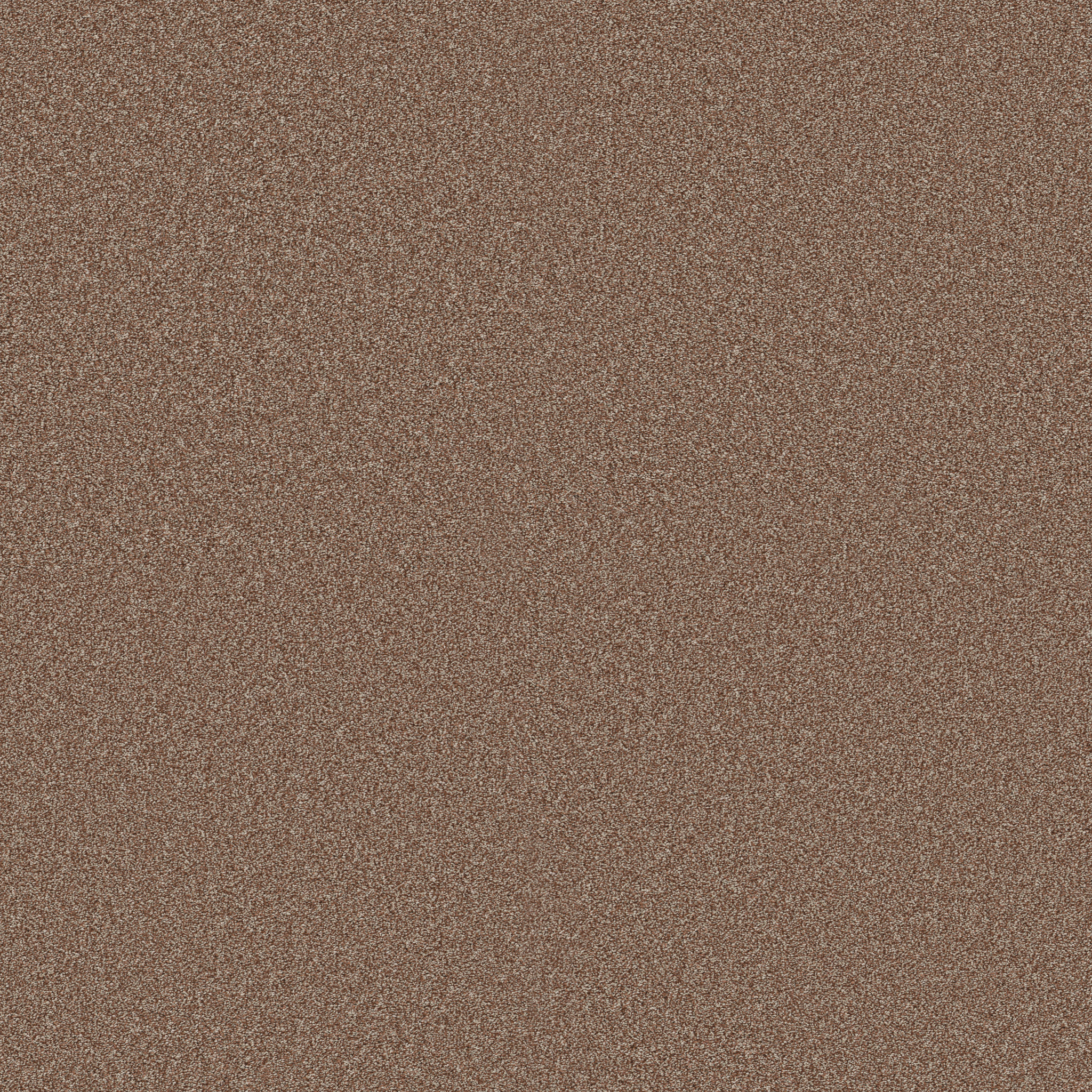 CLASSIC TONE WARM SUNSET MAIN