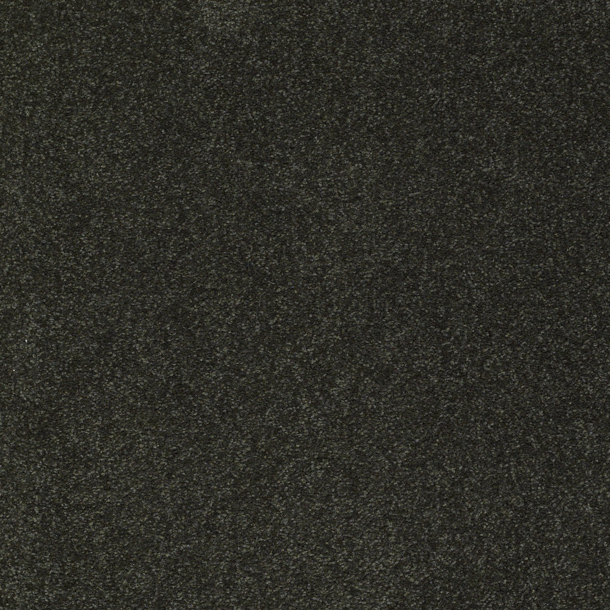 SHINGLE CREEK III 15' LILLY PAD MAIN