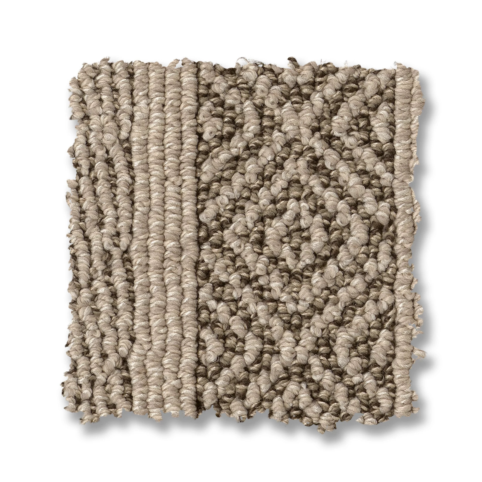 SPEAK DESERT PALM SWATCH