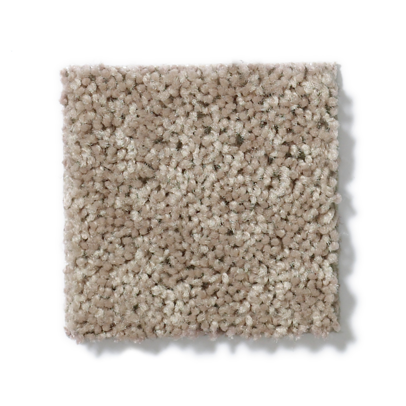 TACTICAL WARM TEA SWATCH