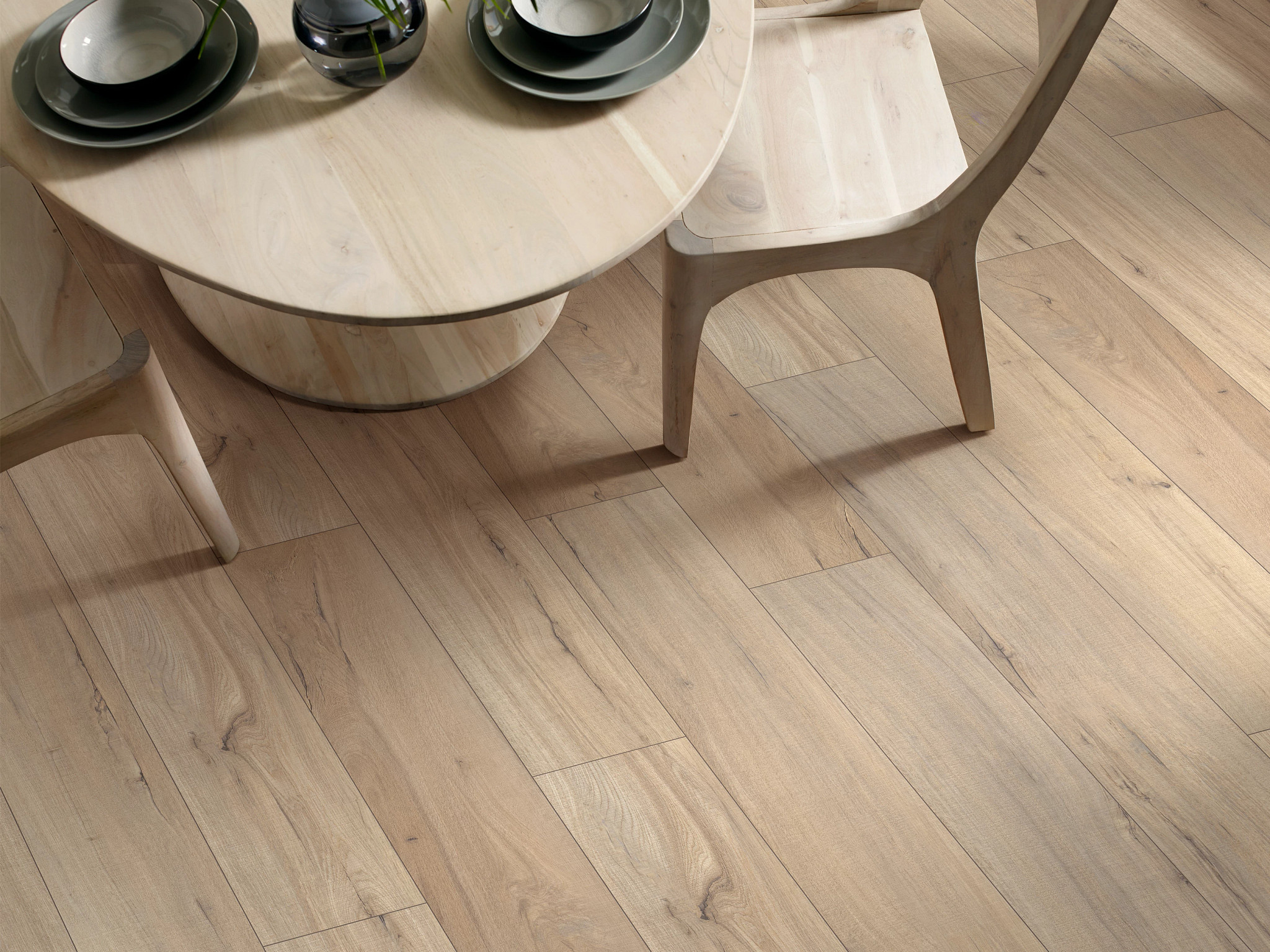 PALADIN PLUS DRIFTWOOD ROOM