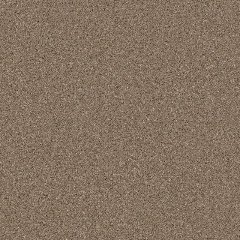 WELL MADE in Pebble Creek by Shaw Floors