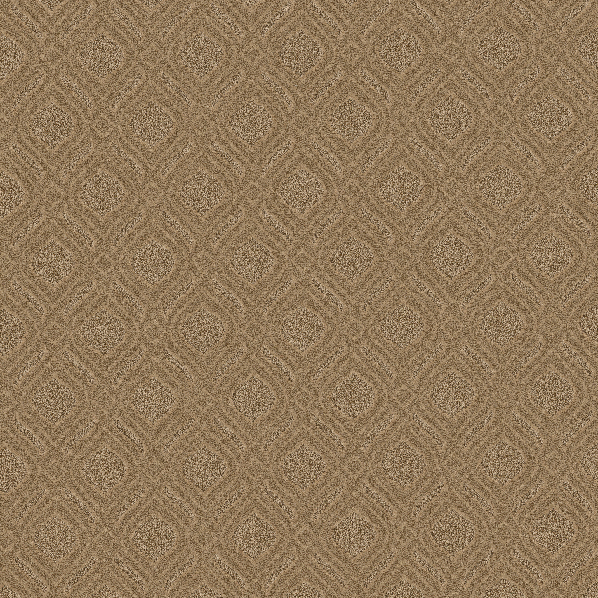 EXPRESSIVE SUMMERWOOD MAIN