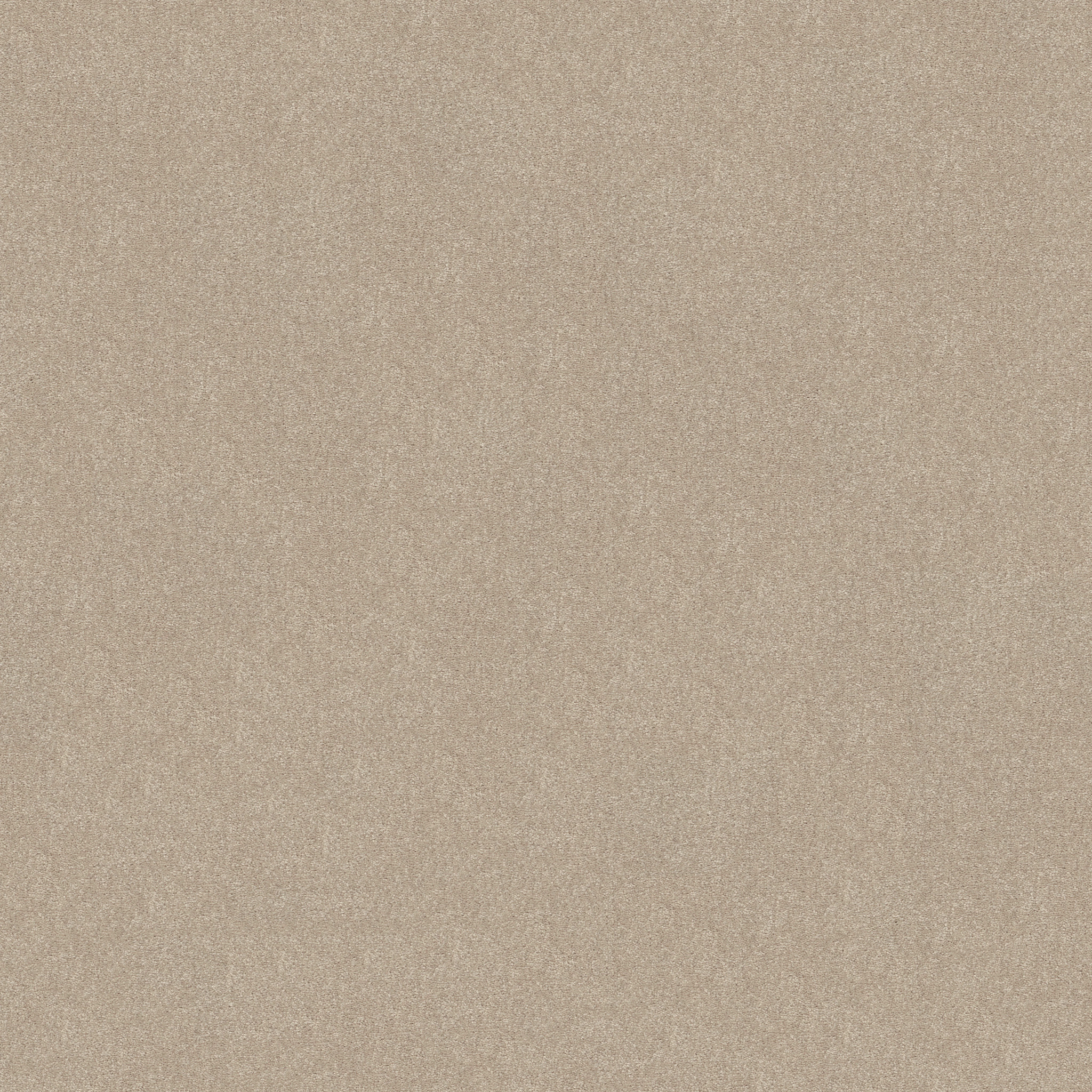 SOLIDIFY II 12' DREAMY MAIN