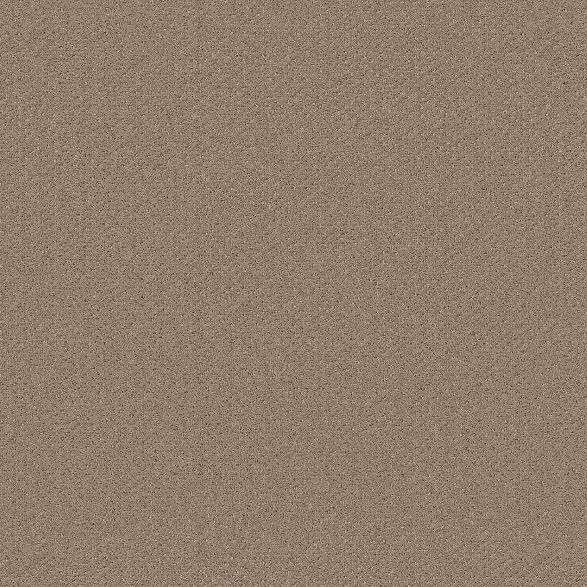 INFALLIBLE INSTINCT BISCOTTI MAIN