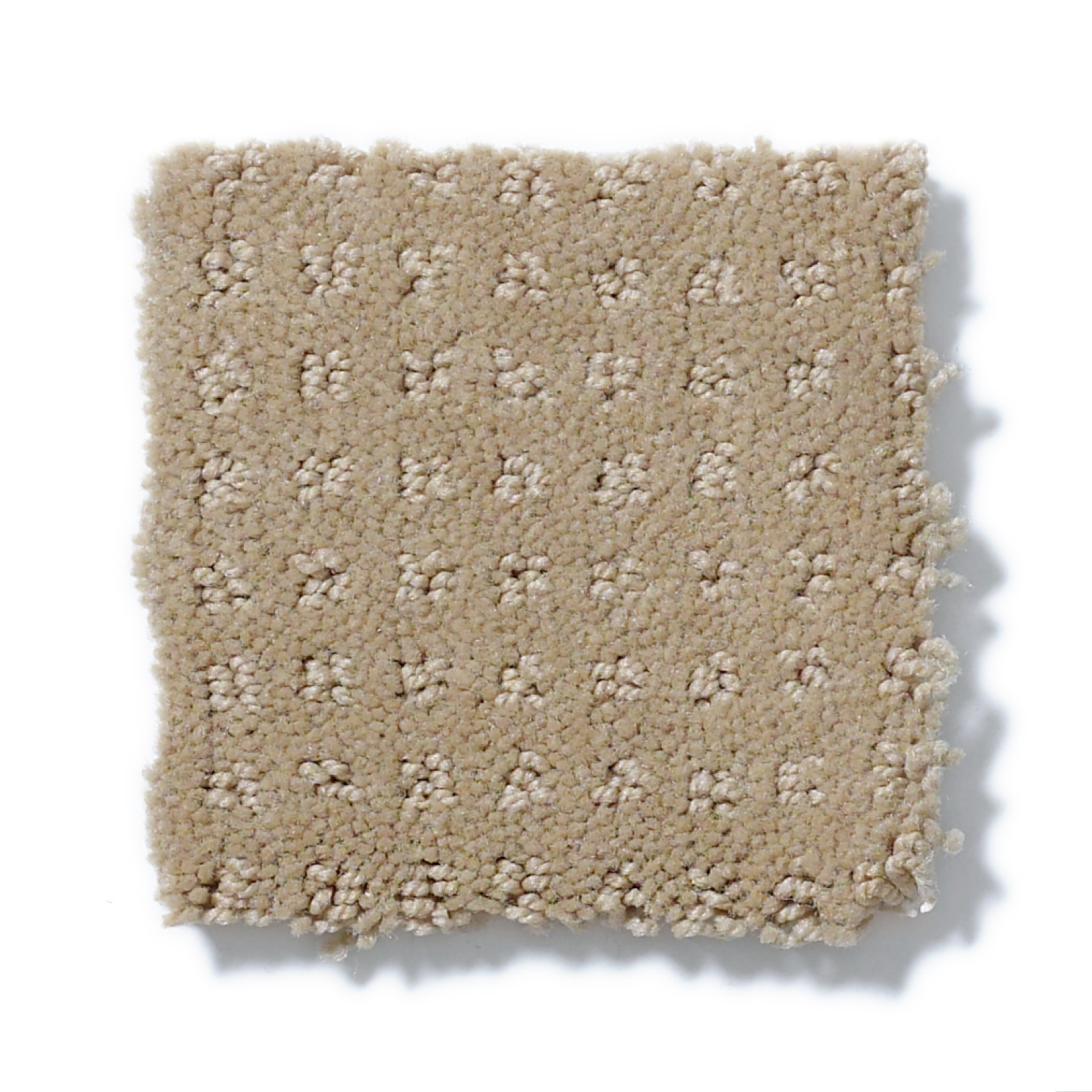 ALLURING DISPOSITION SAFARI SWATCH