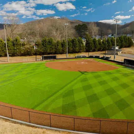 Artificial Turf Baseball Field Scene Baseball field with artificial turf surrounded by trees and hills under a blue sky