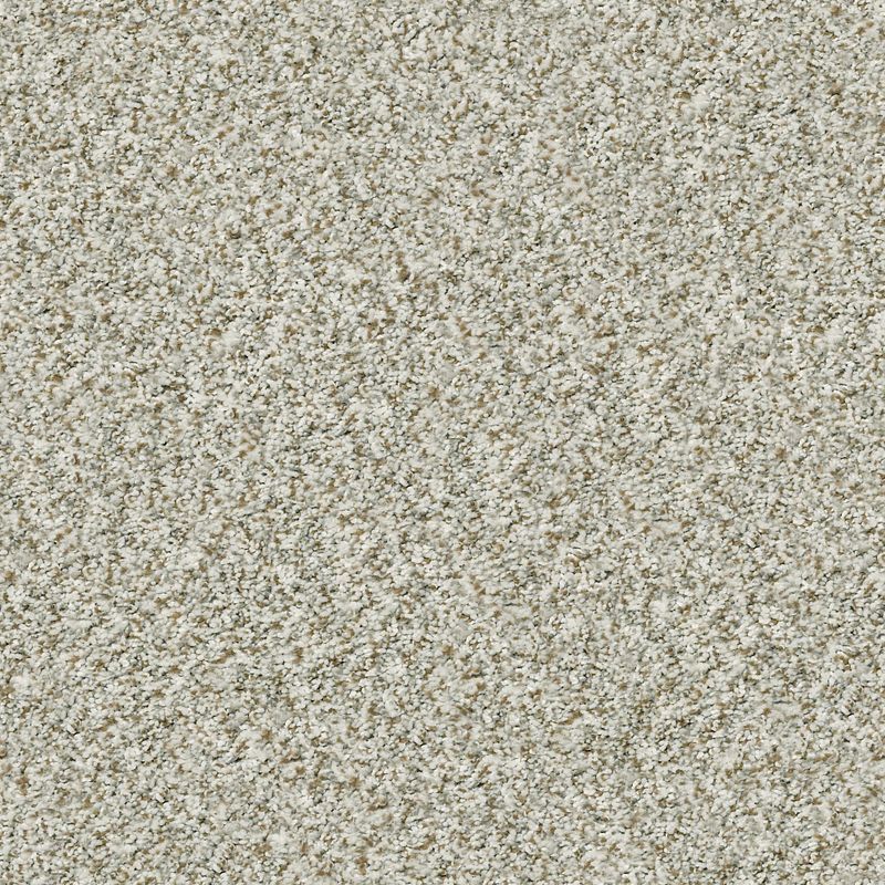 Cabana Life B E9959 Broadloom Carpet in Stone color, 12ft wide, made of 100% PET material