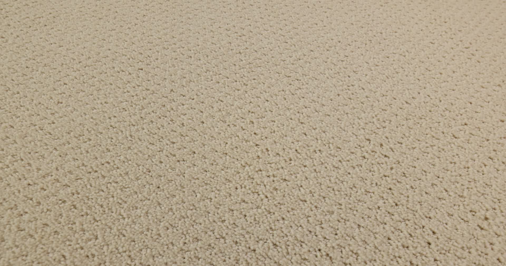 SQUARE ONE WINTER WHITE 360PROD