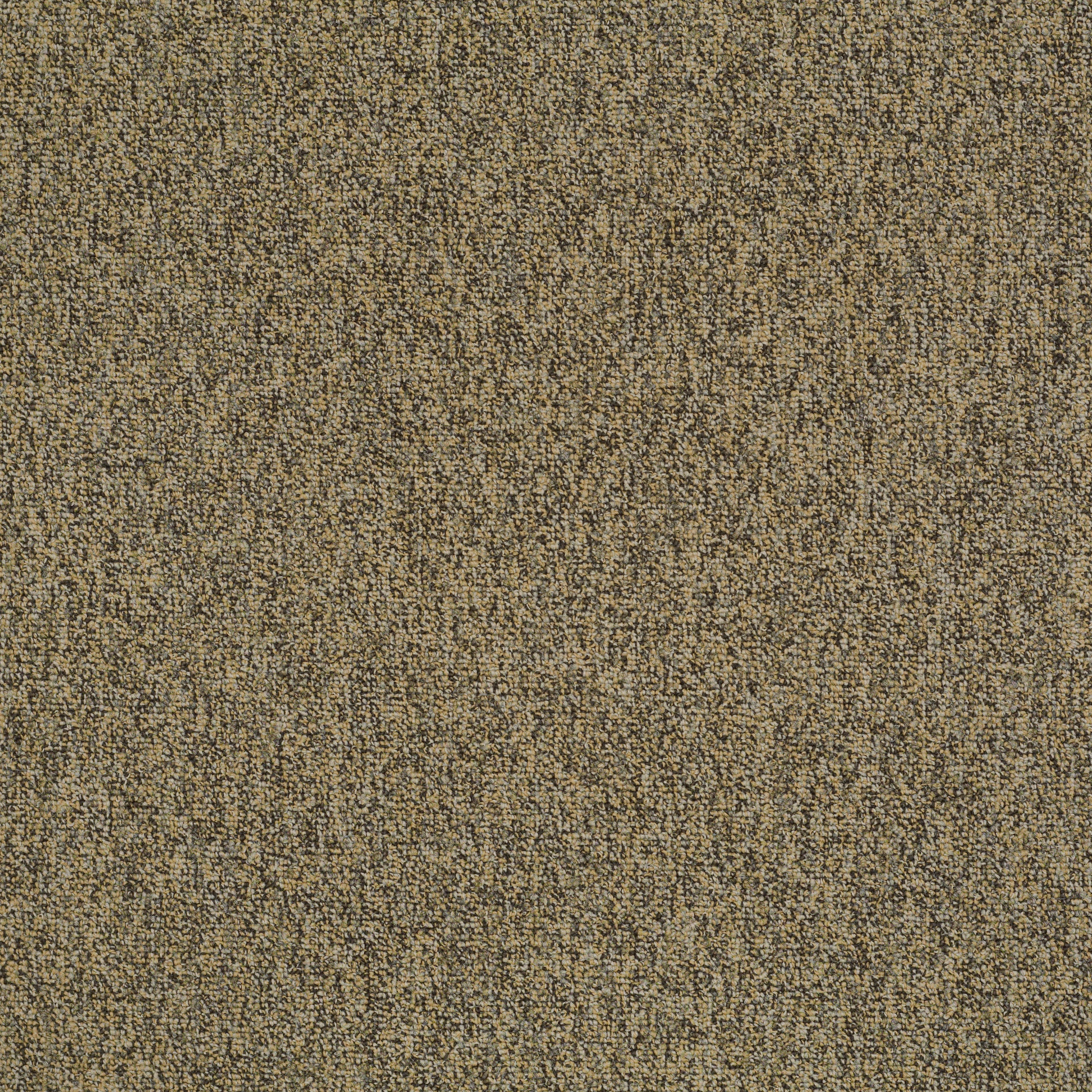 MULTIPLICITY-24X24-54594-ABUNDANCE-00200-main-image