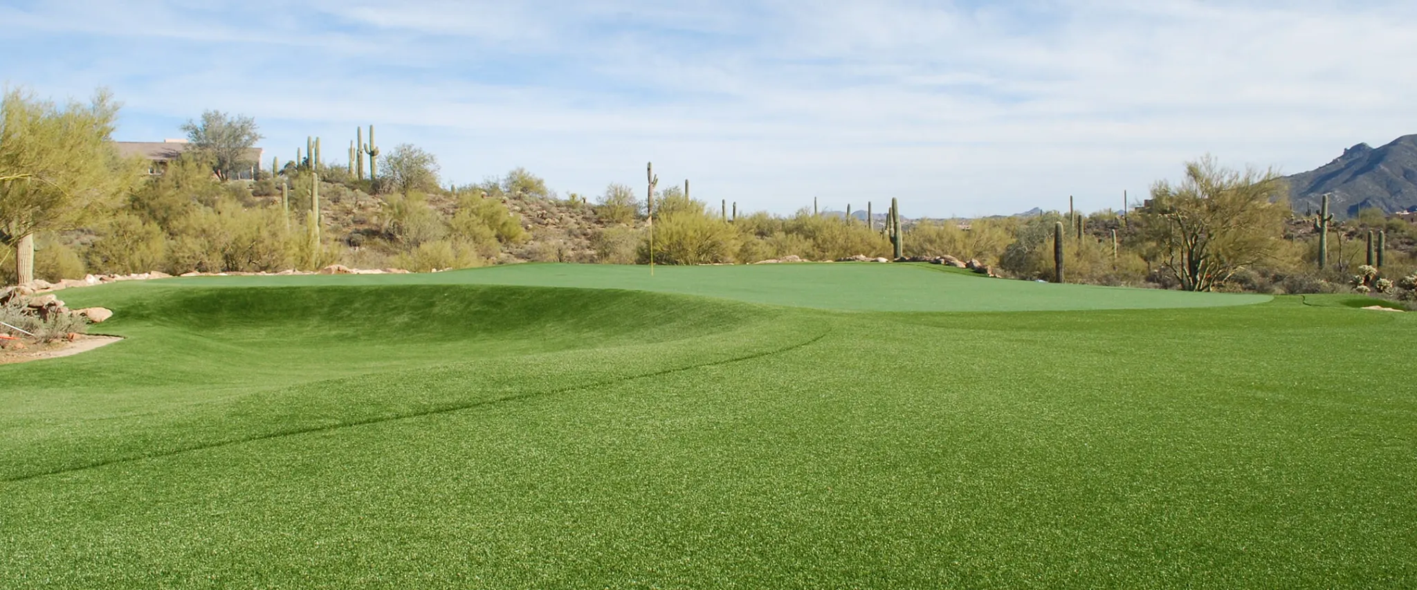 Green artificial turf in a desert landscape