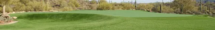 Green artificial turf in a desert landscape