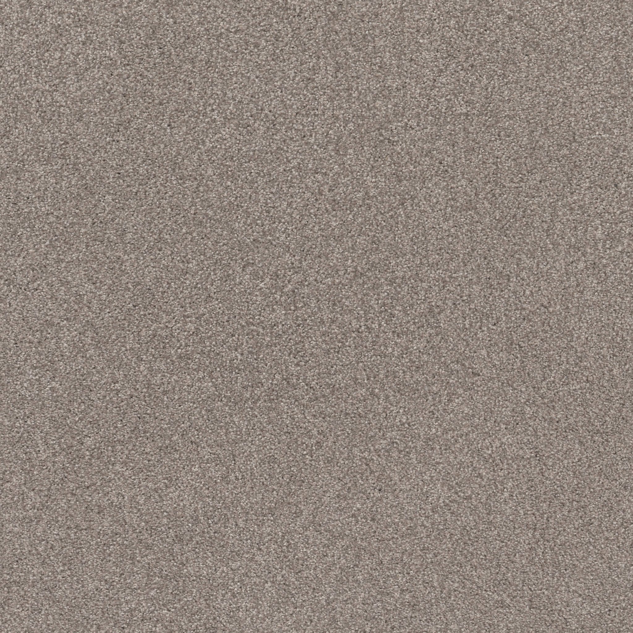 COZY HARBOR I STUCCO MAIN