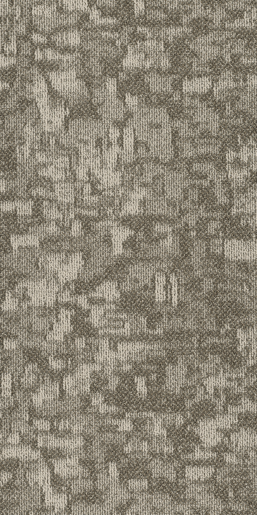 ARID-54848-PINGO-00702-main-image