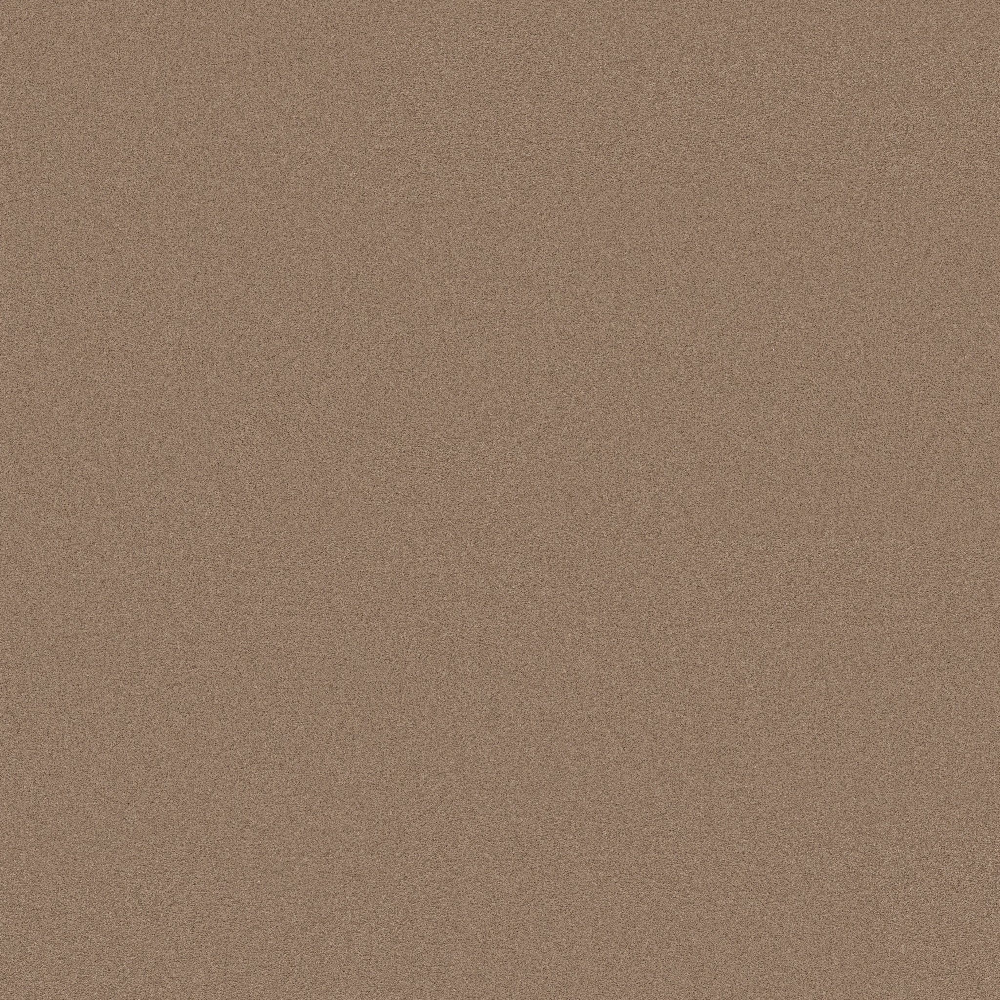 FINERY CRISP TAN MAIN